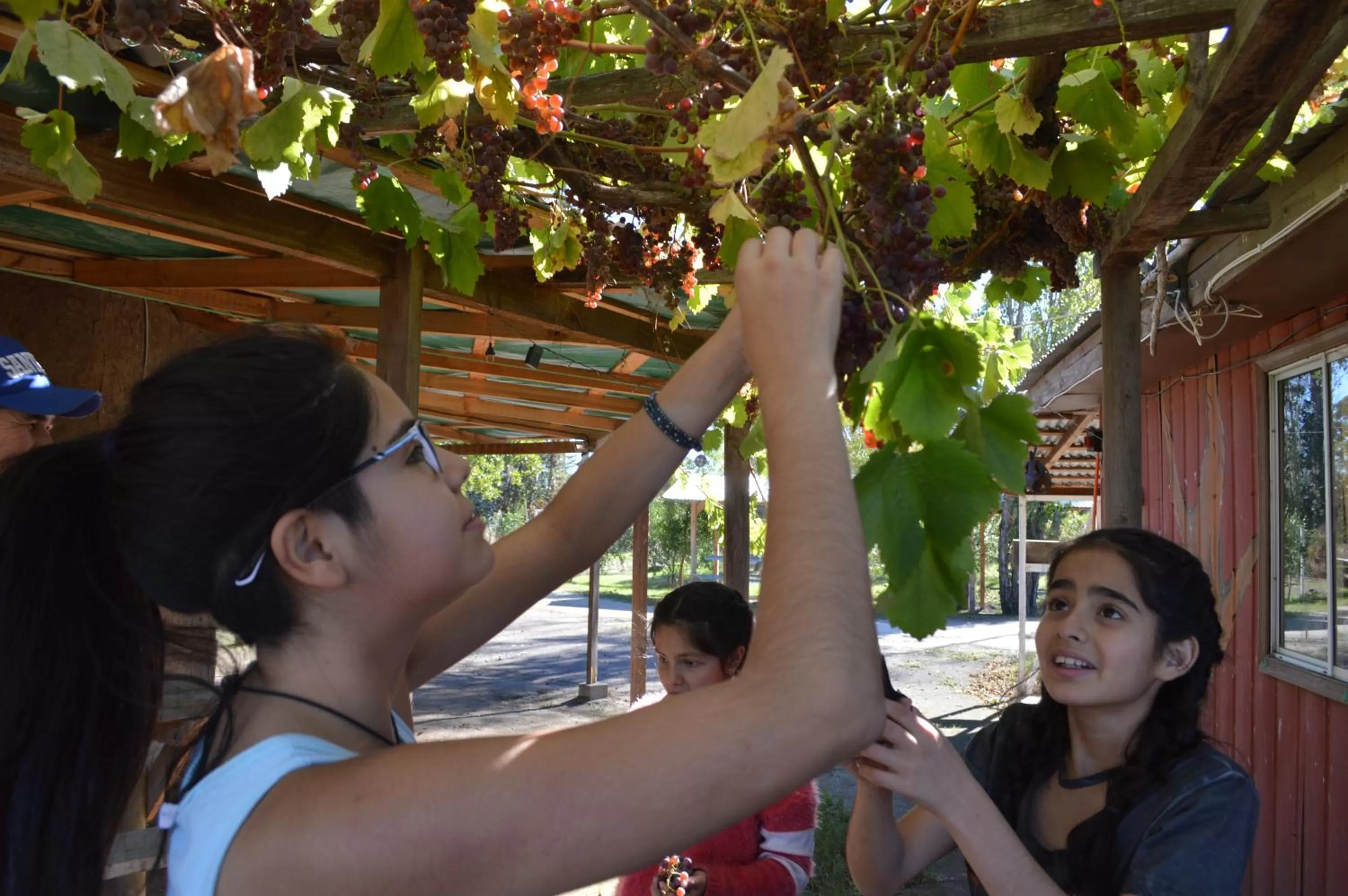 Coyunche Cabañas y Camping Laja & San Rosendo