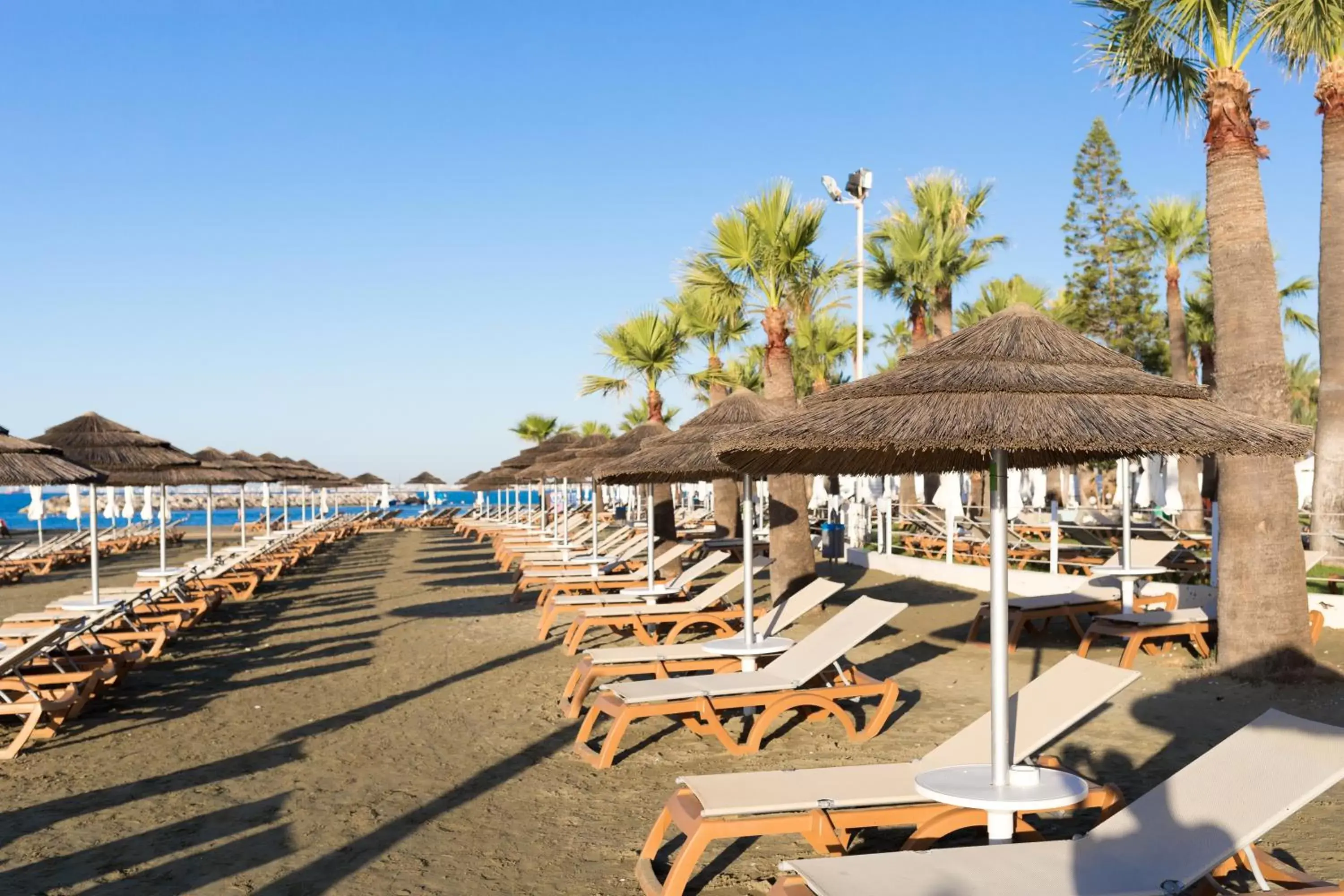 Beach in Golden Bay Beach Hotel