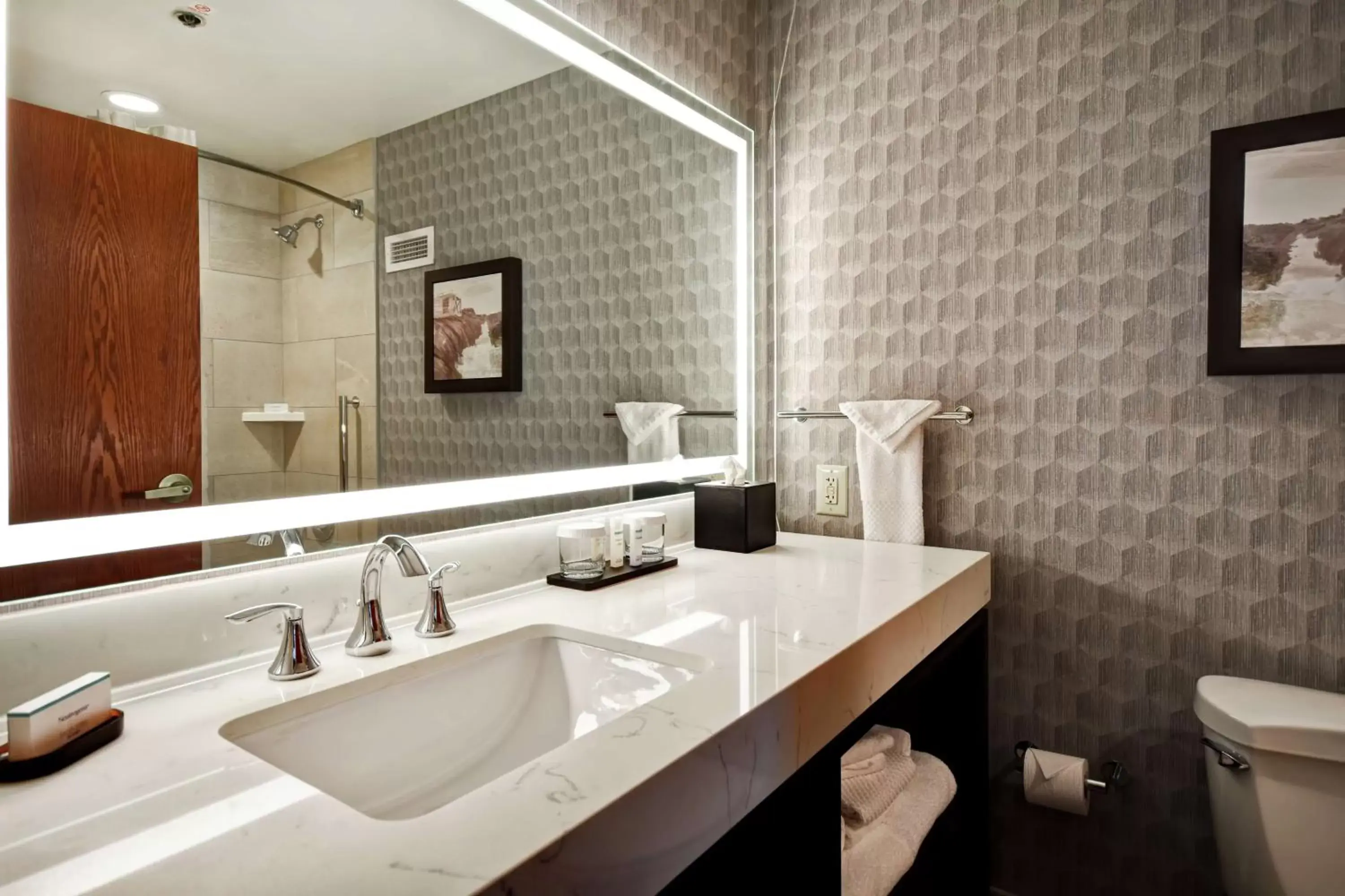 Bathroom in Embassy Suites Little Rock