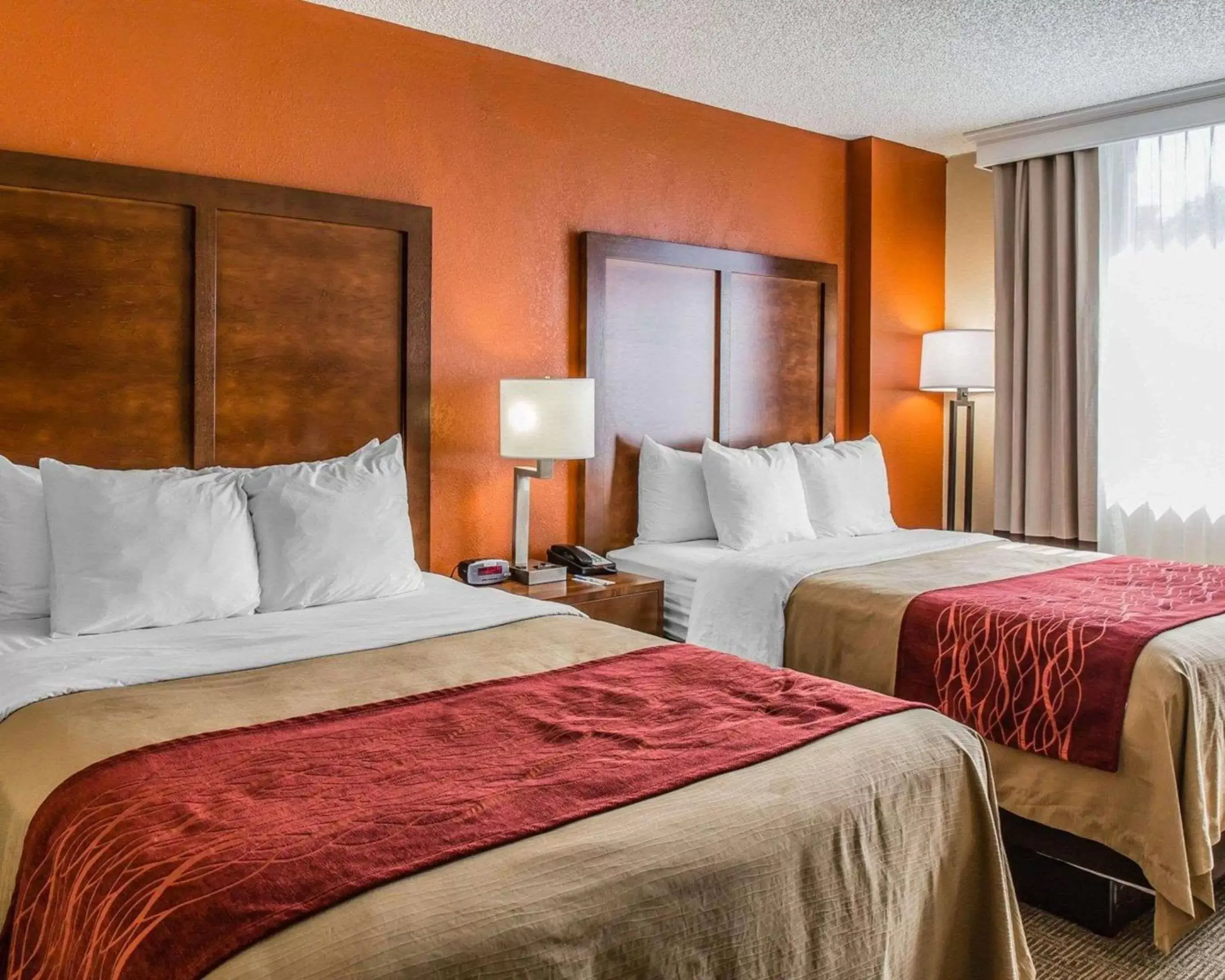 Photo of the whole room, Bed in Comfort Inn & Suites Lakeland North I-4