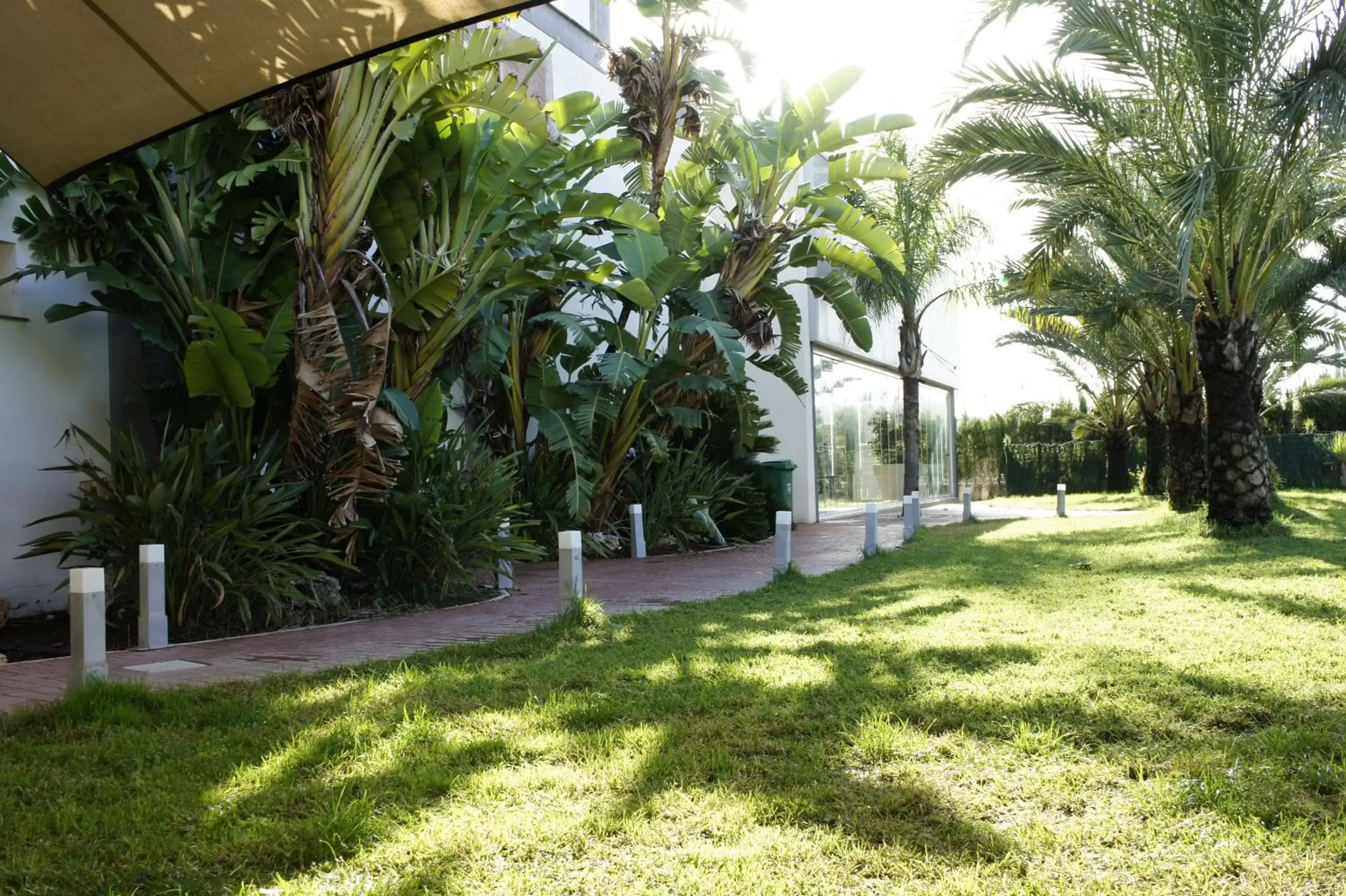 Garden in ApartHotel Playa Oliva