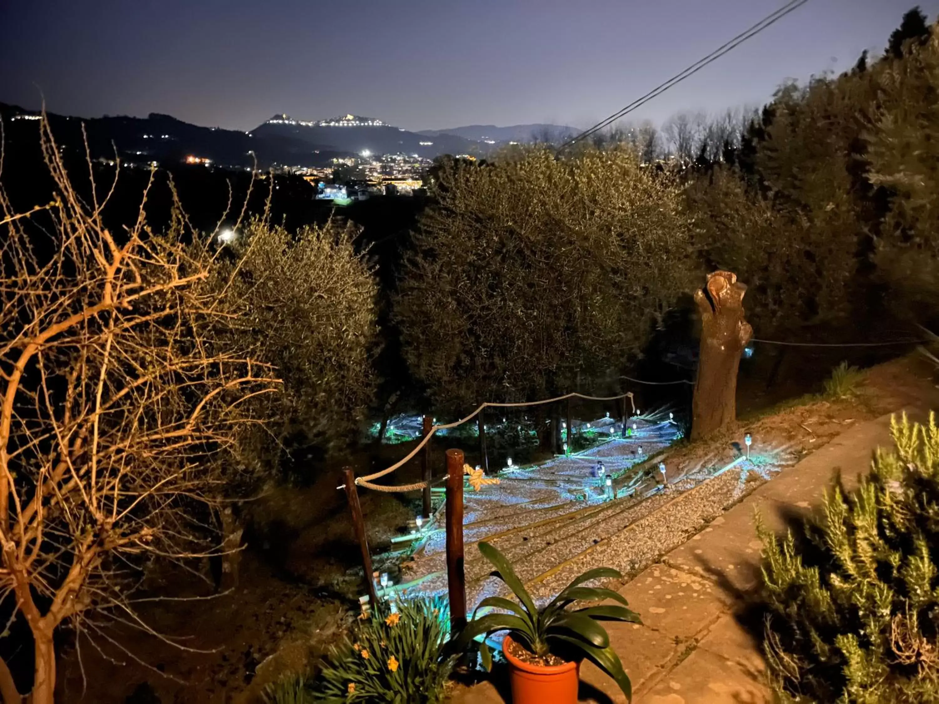 Garden in Casa del Pino