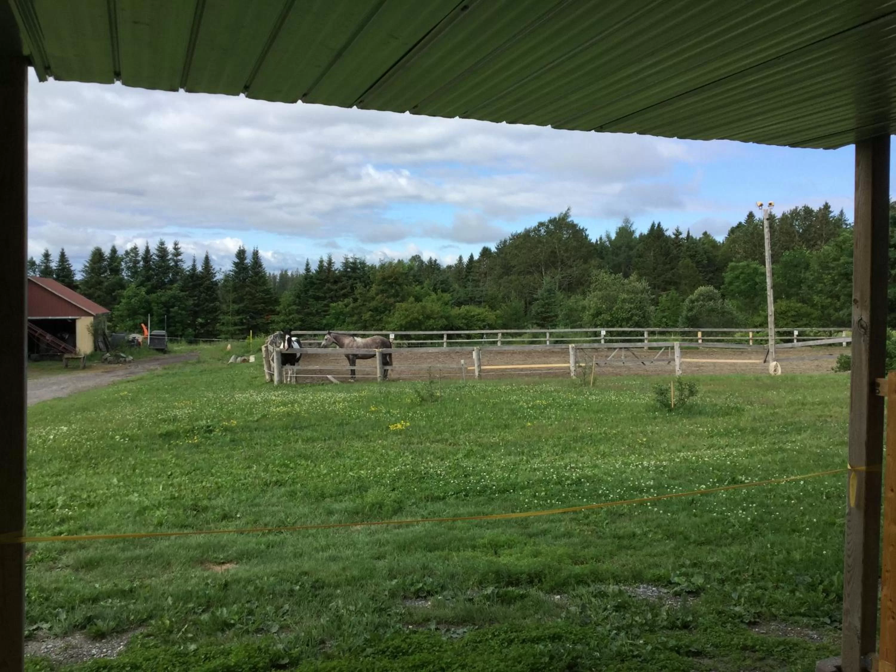 View (from property/room) in Gite chez Gilles Lévesque