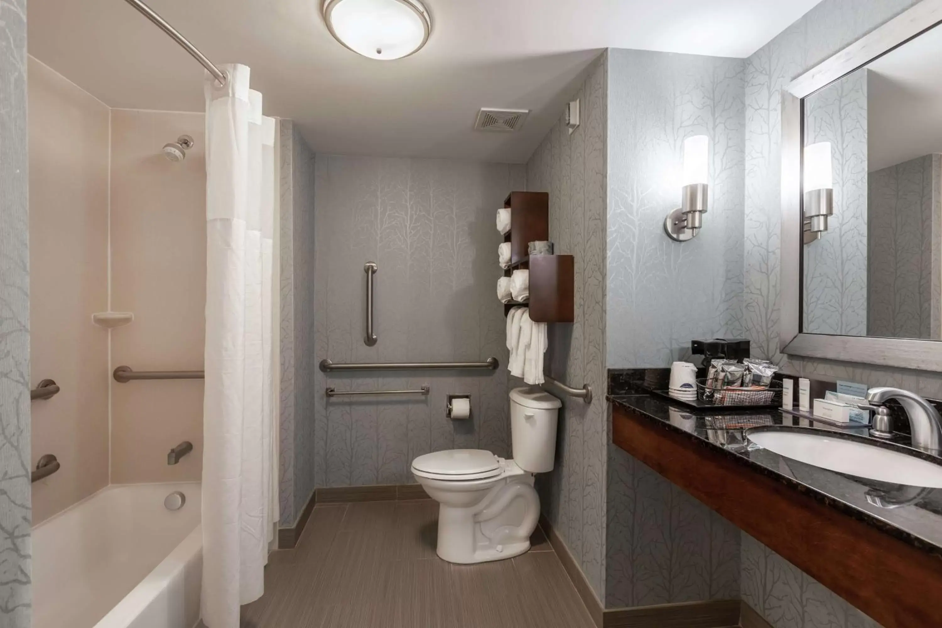 Bathroom in Hampton Inn Anderson/Alliance Business Park