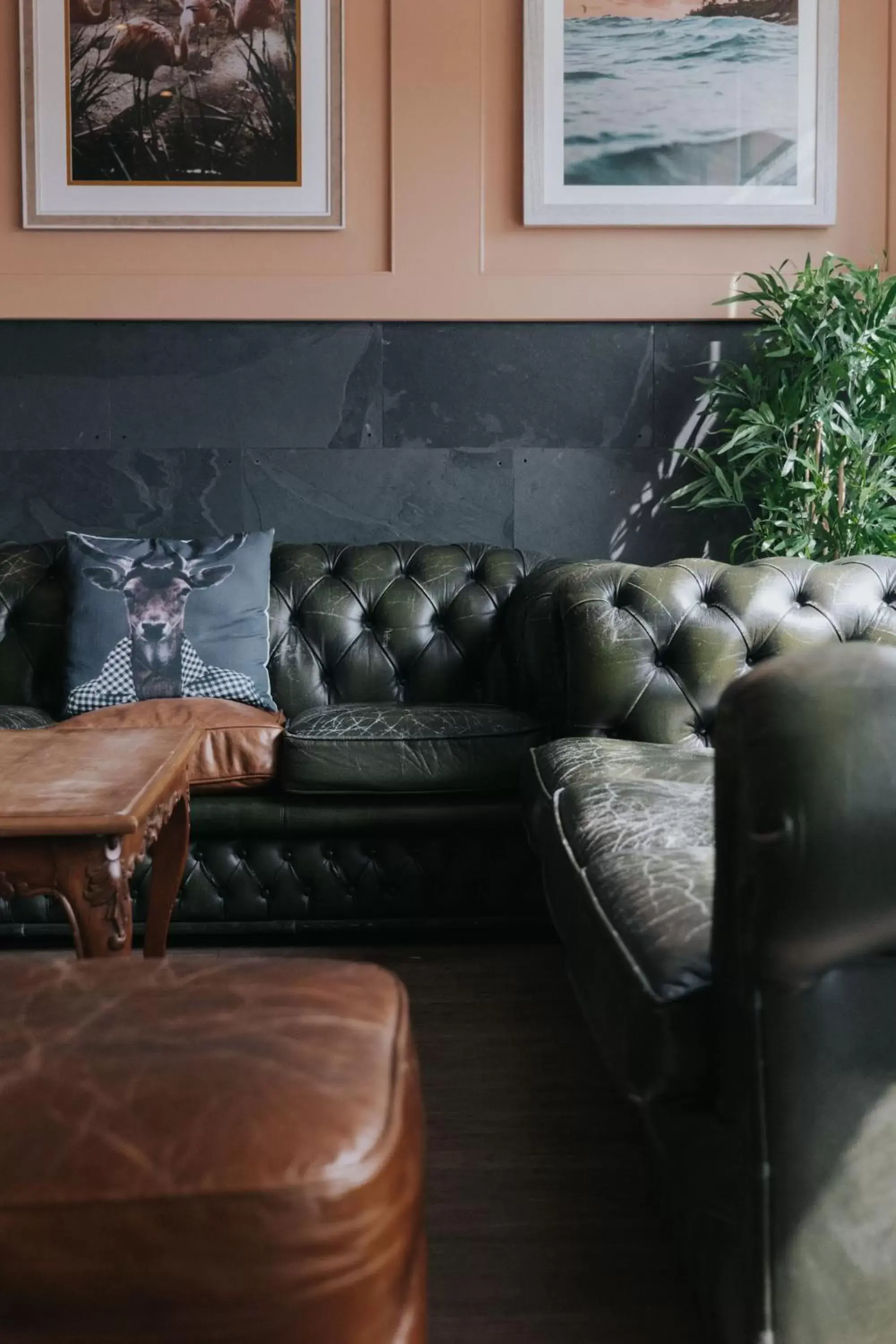 Lounge or bar, Seating Area in Bude Hotel - An Mor