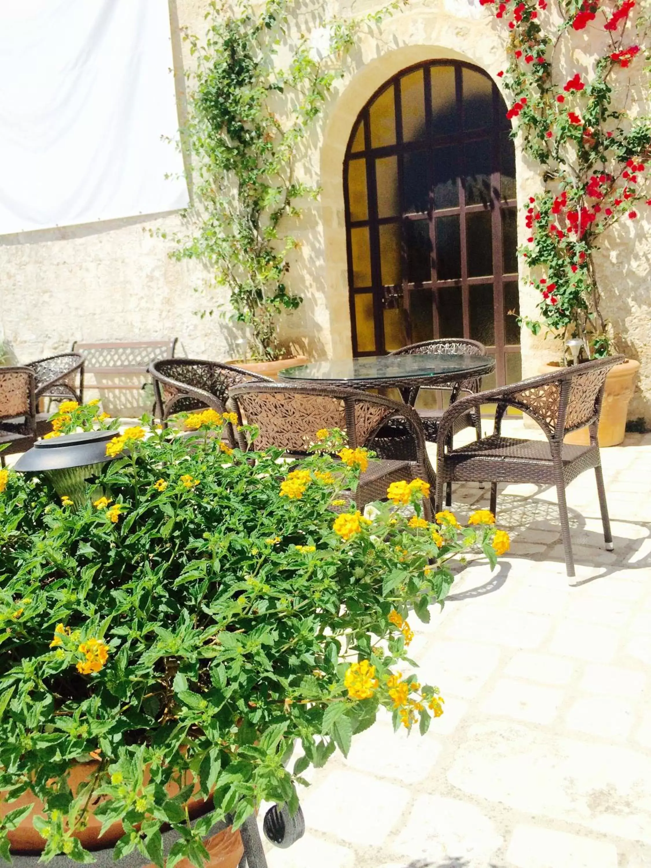 Garden, Patio/Outdoor Area in Castello Conti Filo