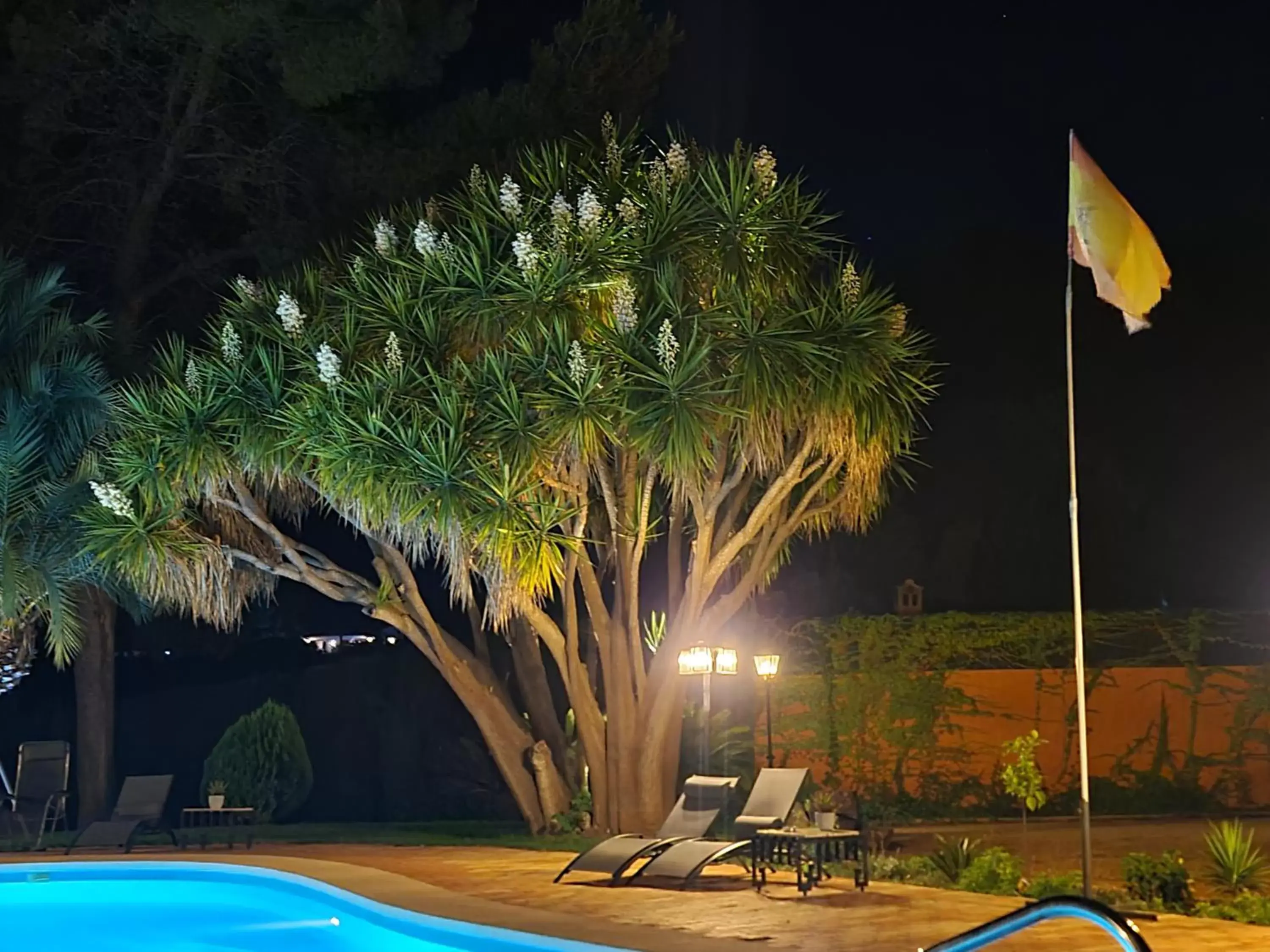 Night, Swimming Pool in Finca la Yuca