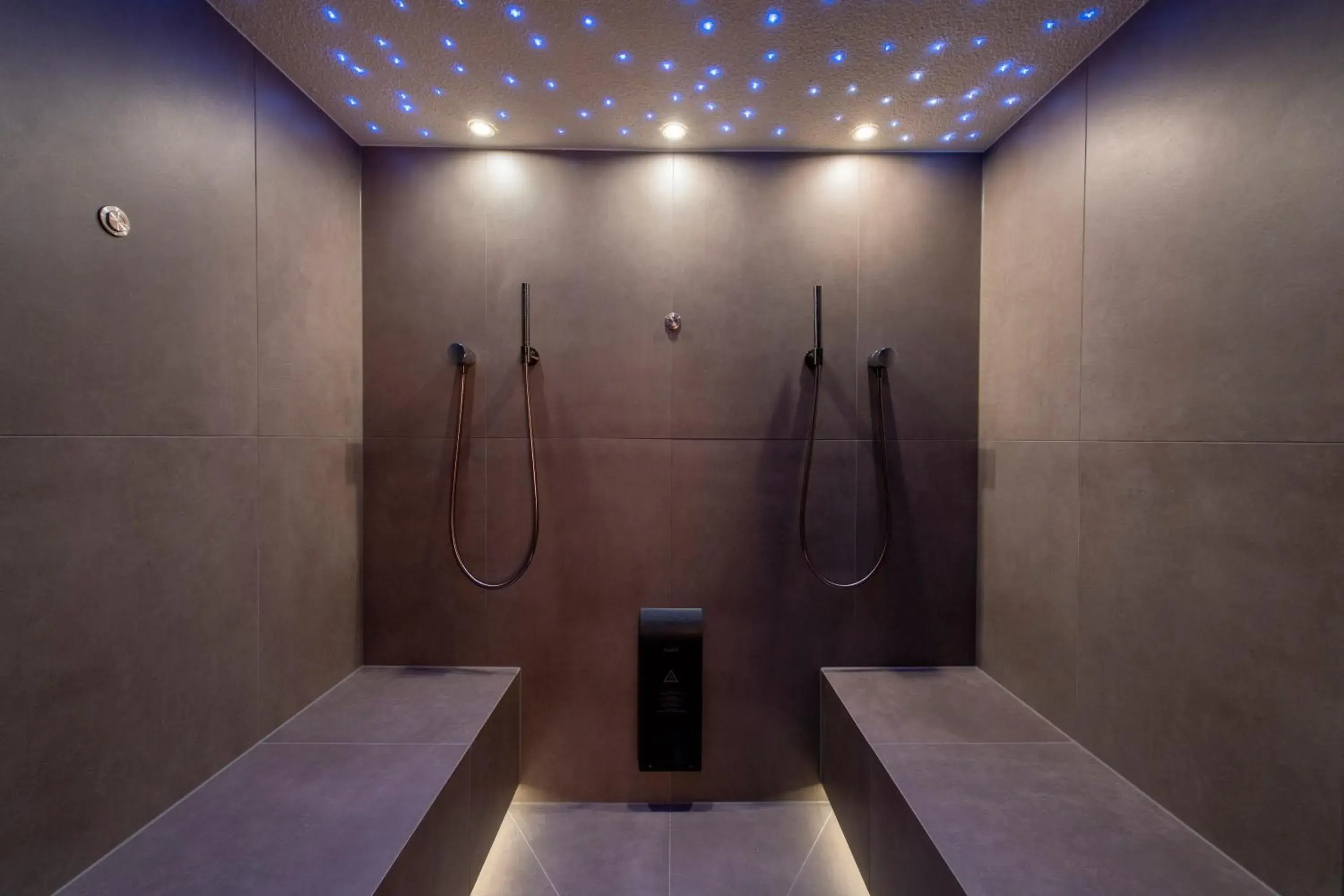 Spa and wellness centre/facilities, Bathroom in Chesa Valese