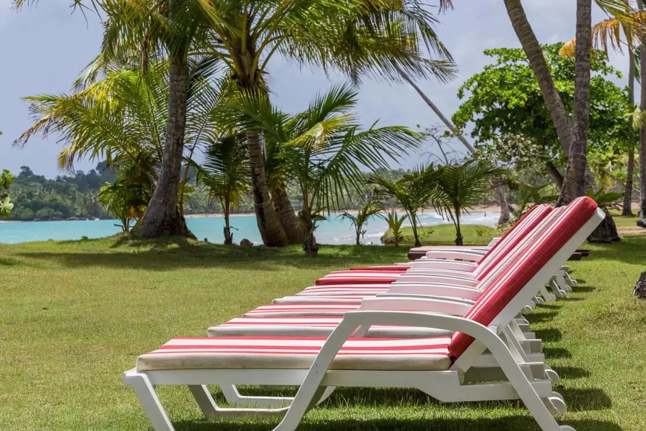 Beach, Garden in Atlantis Hotel