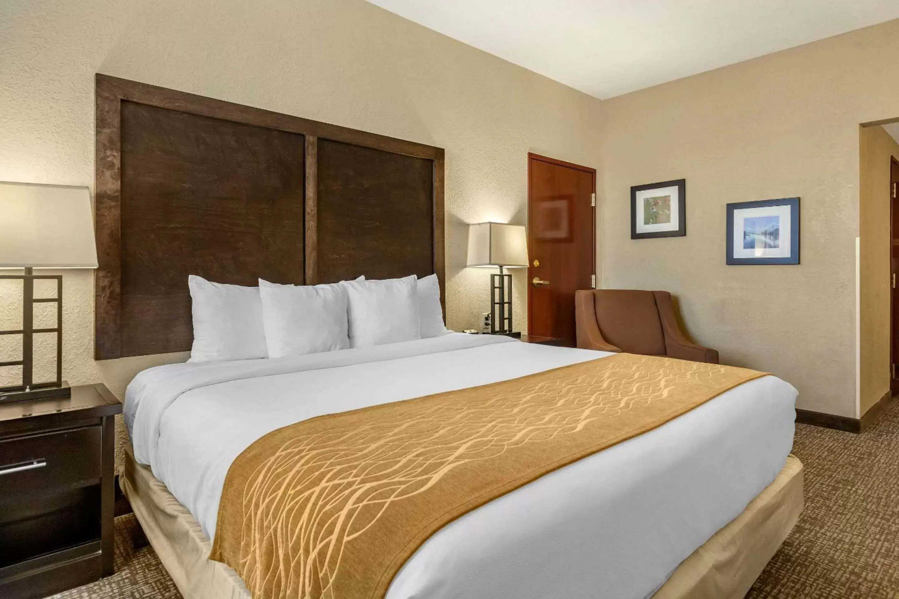 King Room - Accessible/Non-Smoking in Comfort Inn & Suites Allen Park/Dearborn