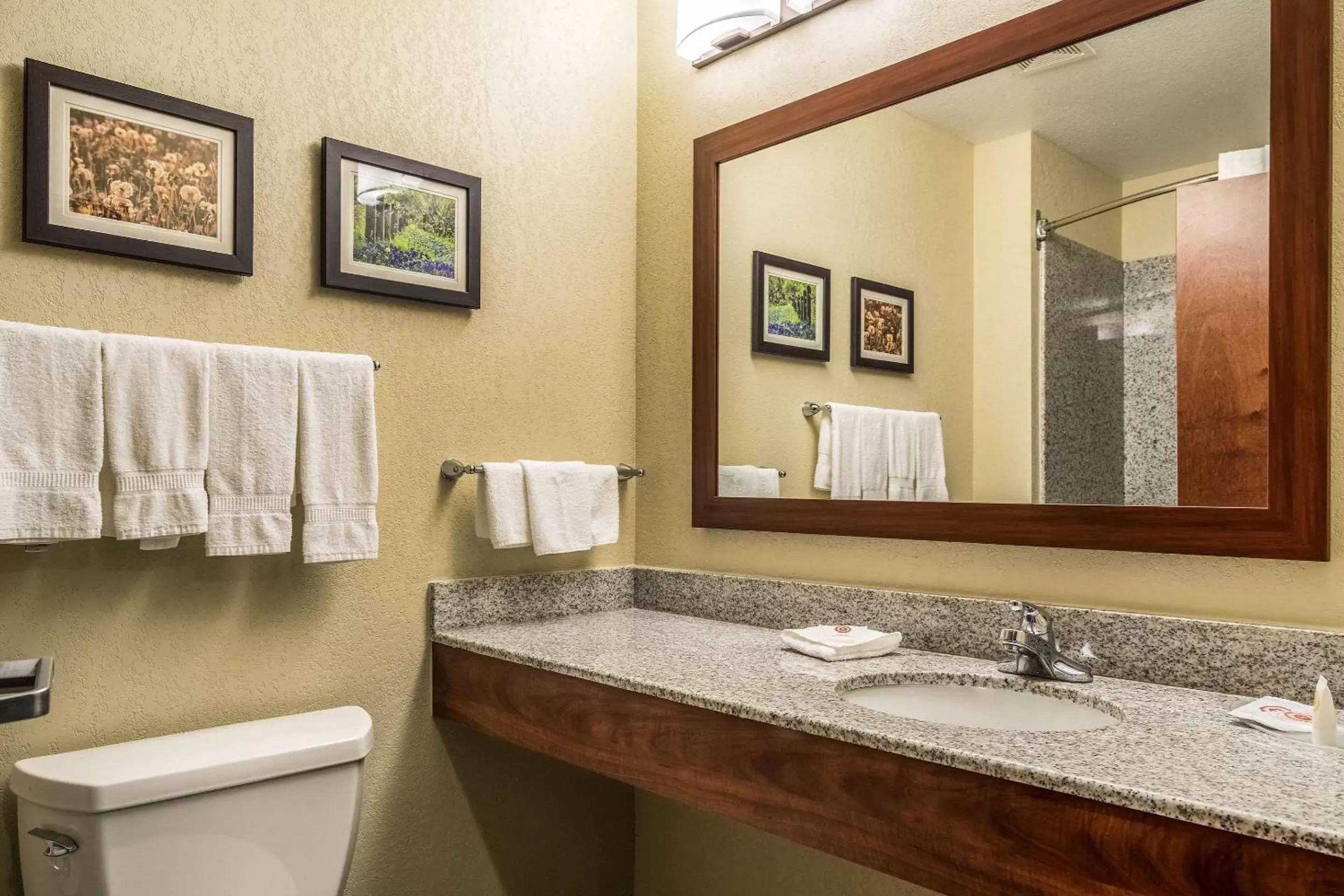 Bathroom in Comfort Suites San Marcos
