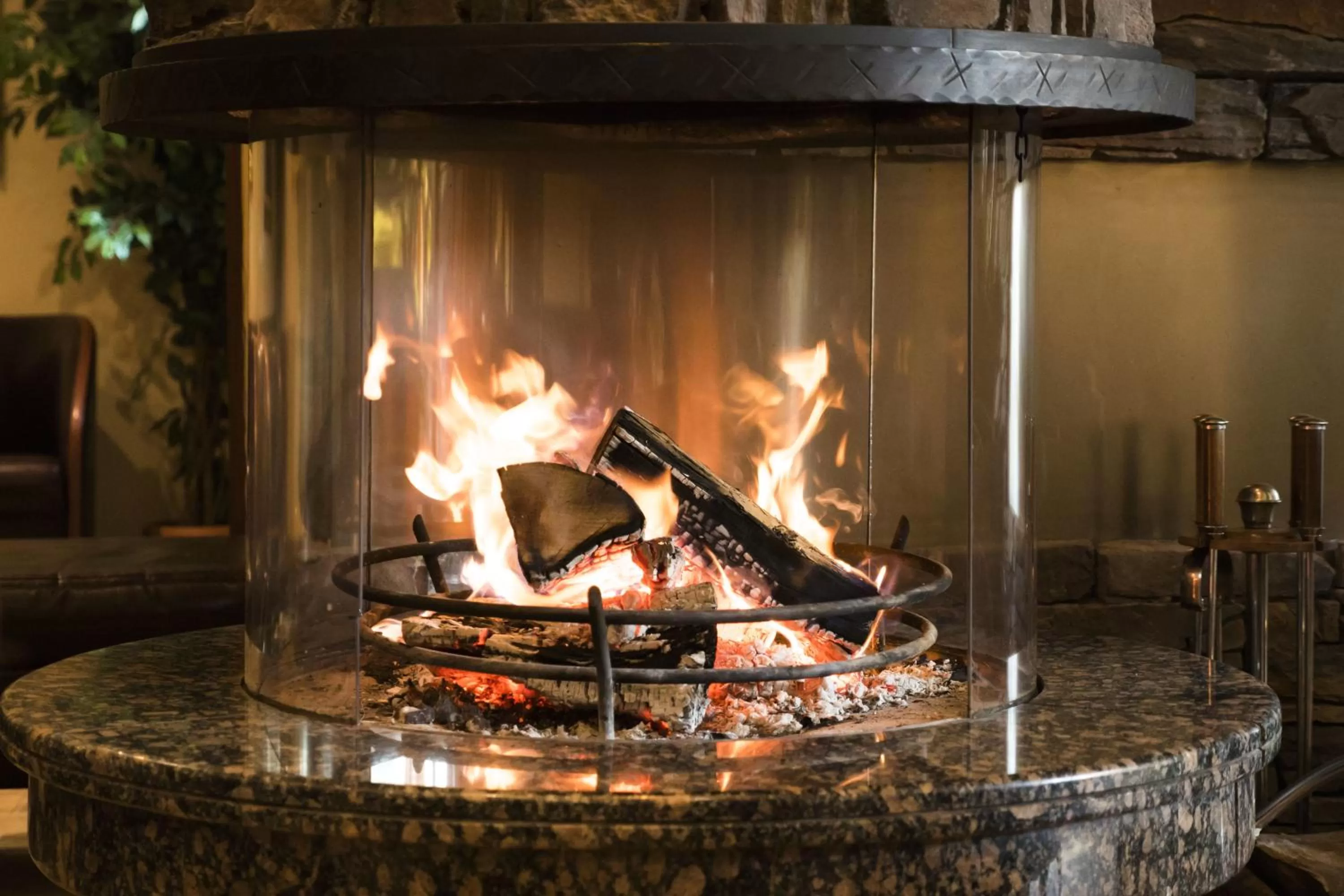 Lounge or bar in Martin Club Hotel