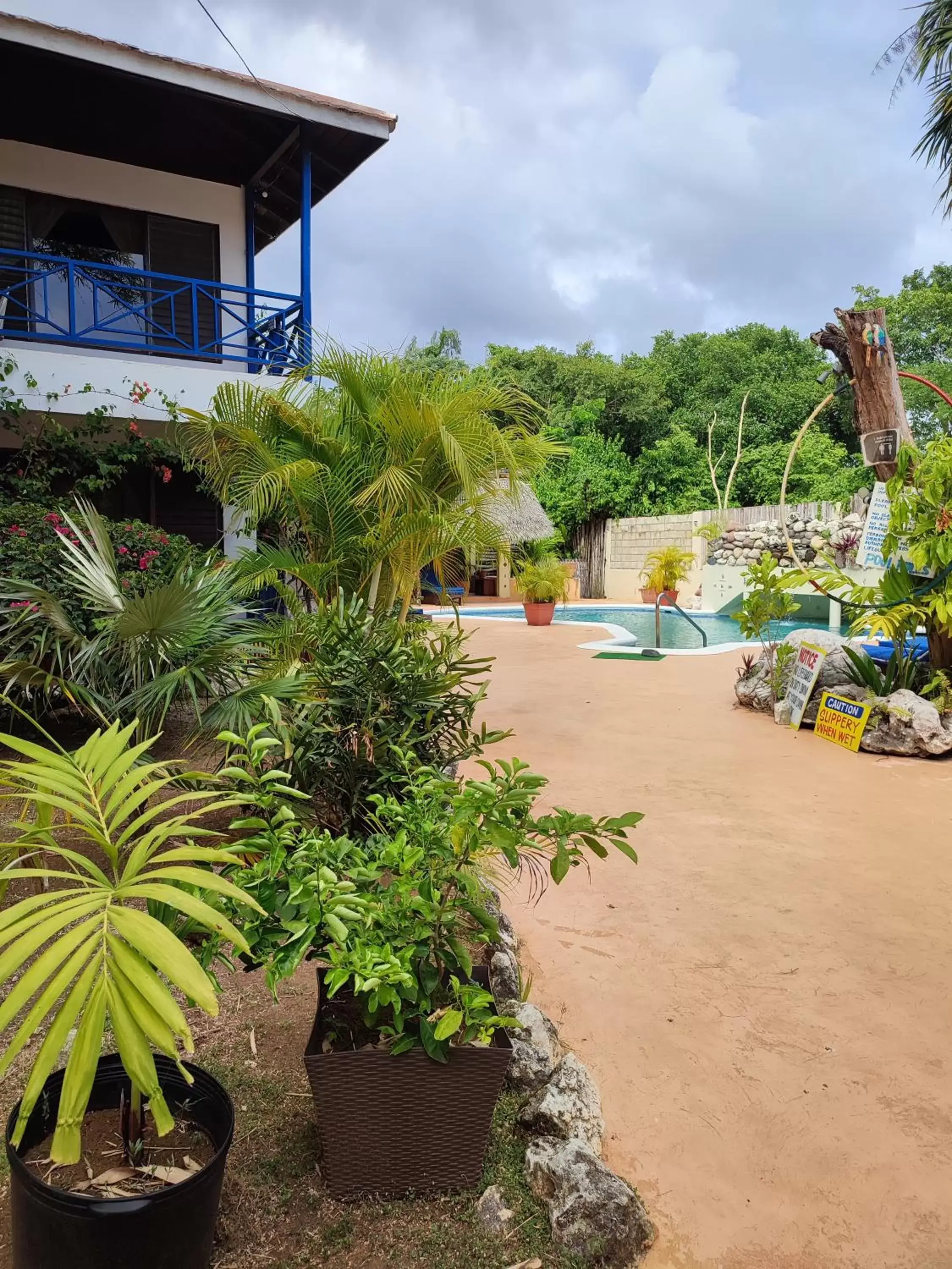 Swimming Pool in Ltu Garden