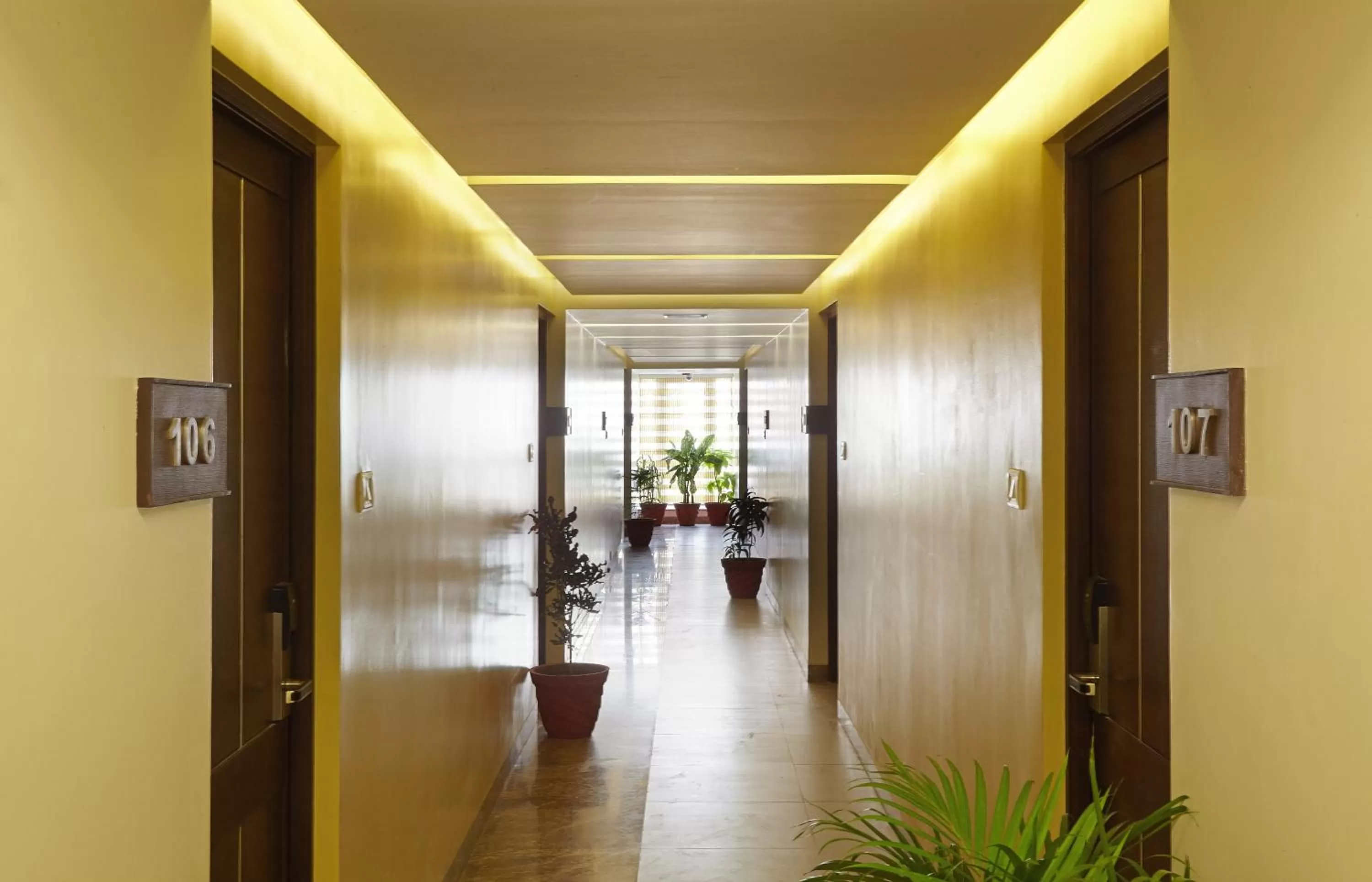 Other in Golden Fruits Business Suites