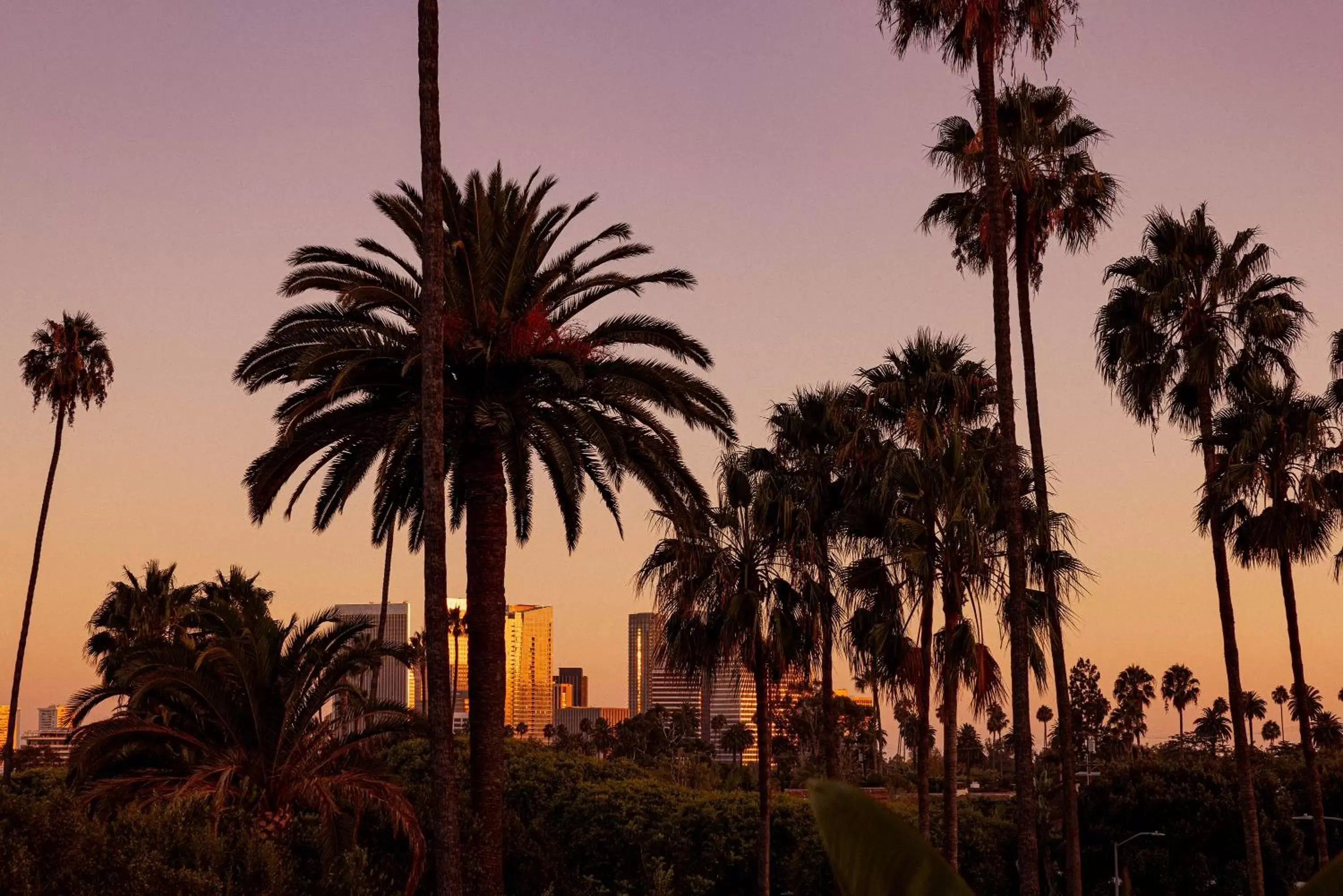 Restaurant/places to eat, Sunrise/Sunset in The Beverly Hills Hotel - Dorchester Collection