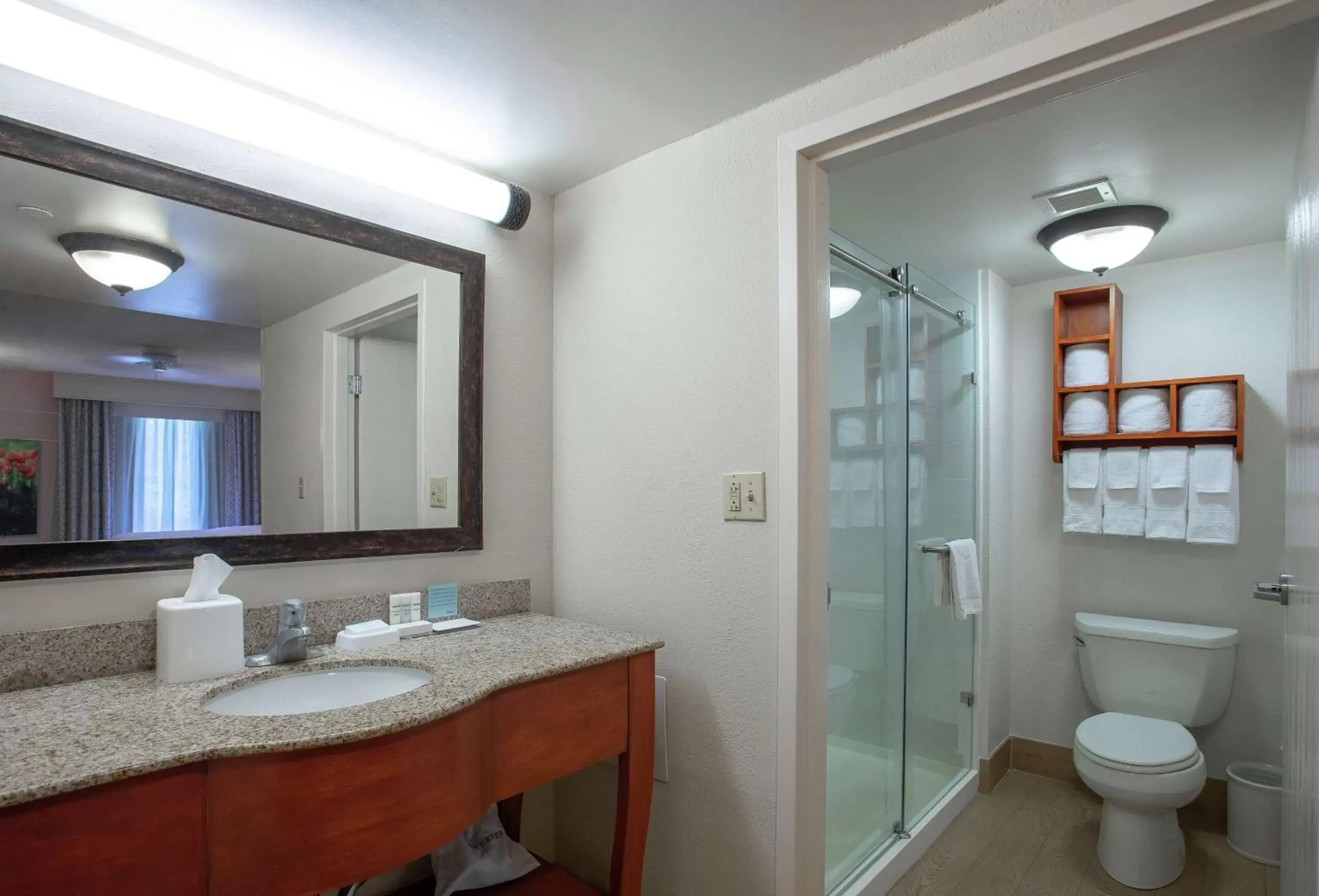 Bathroom in Hampton Inn & Suites Williamsburg-Richmond Road
