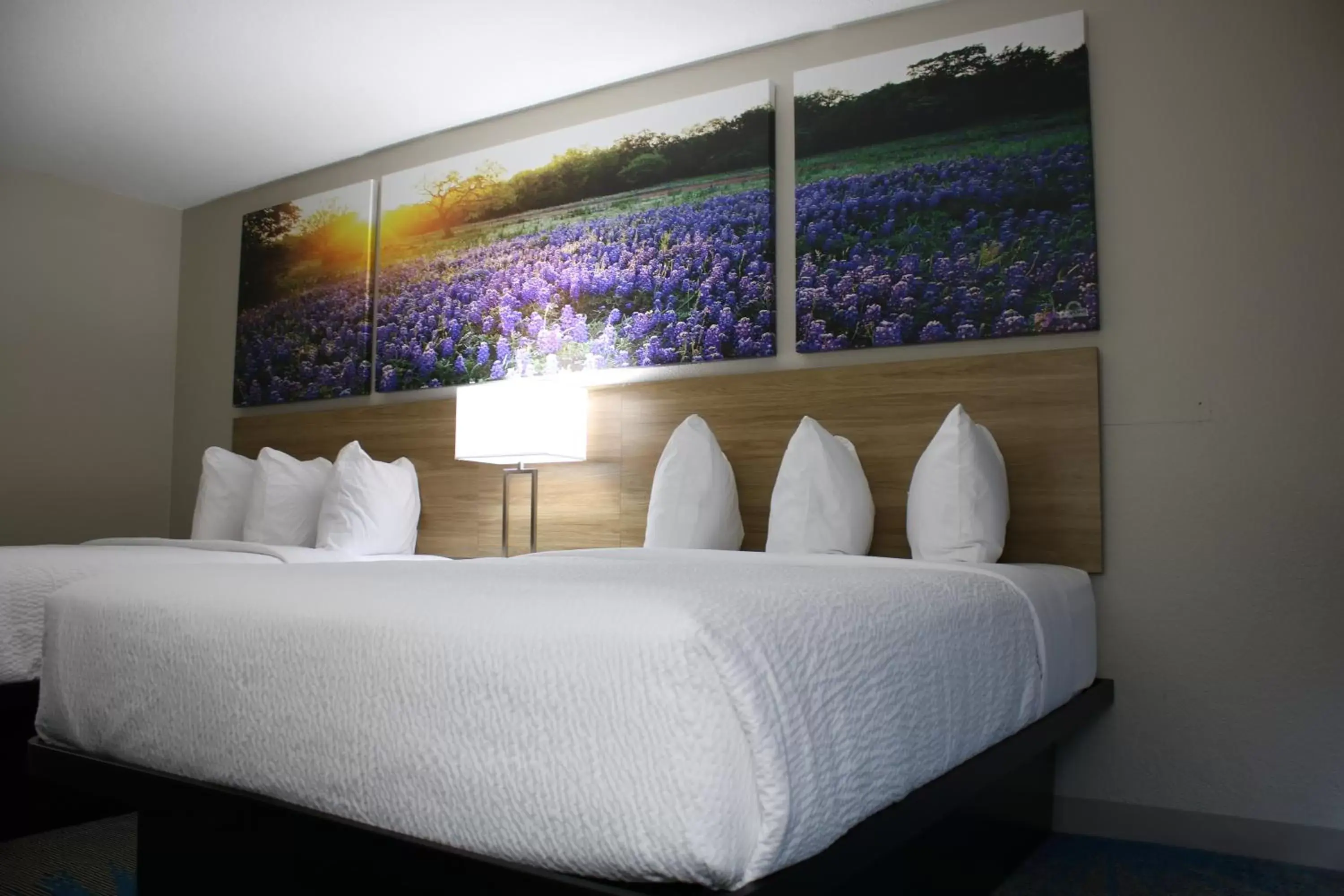 Bedroom, Bed in Days Inn by Wyndham Waco University Area