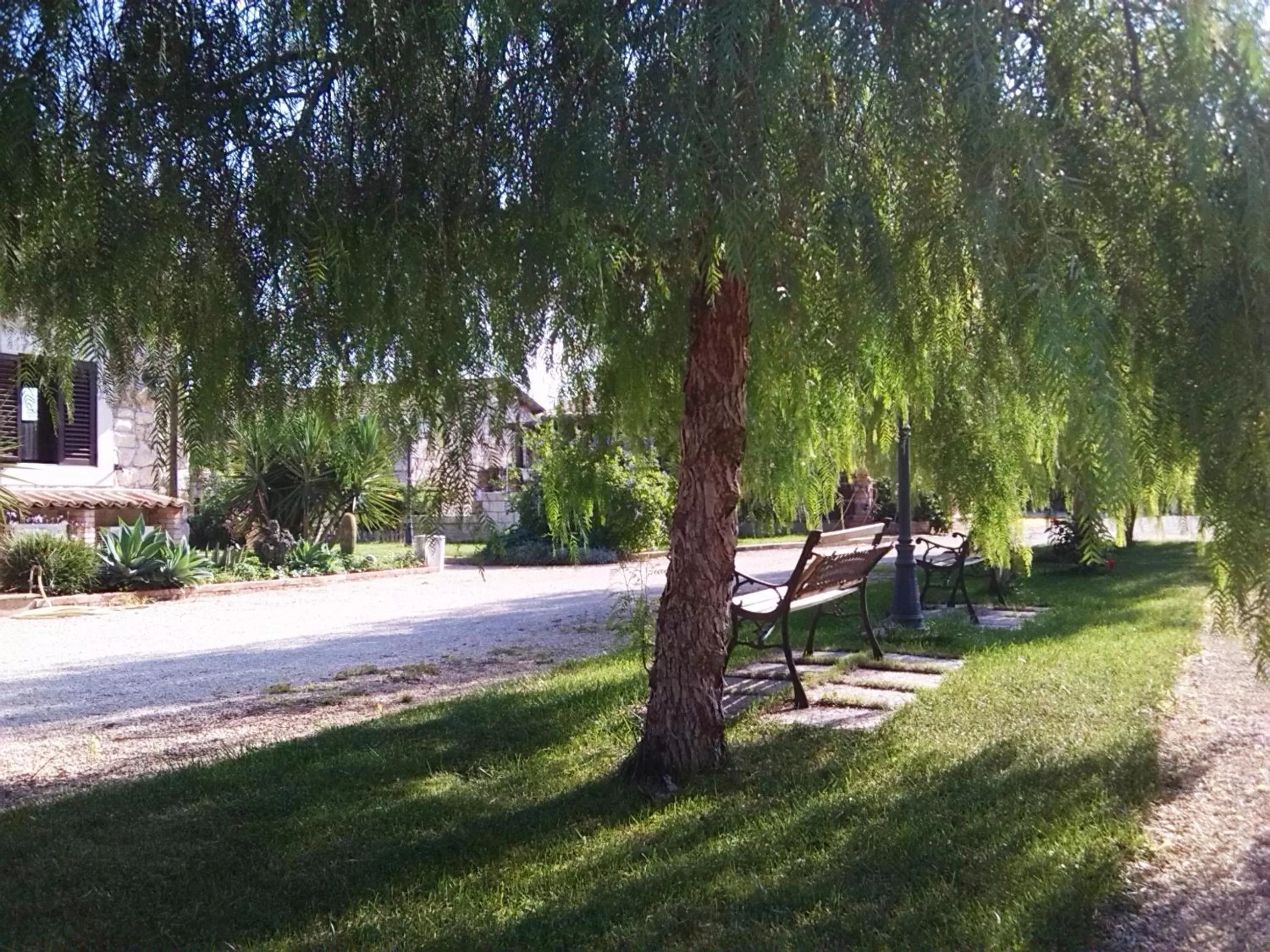 Garden in B&B Villa Giusy