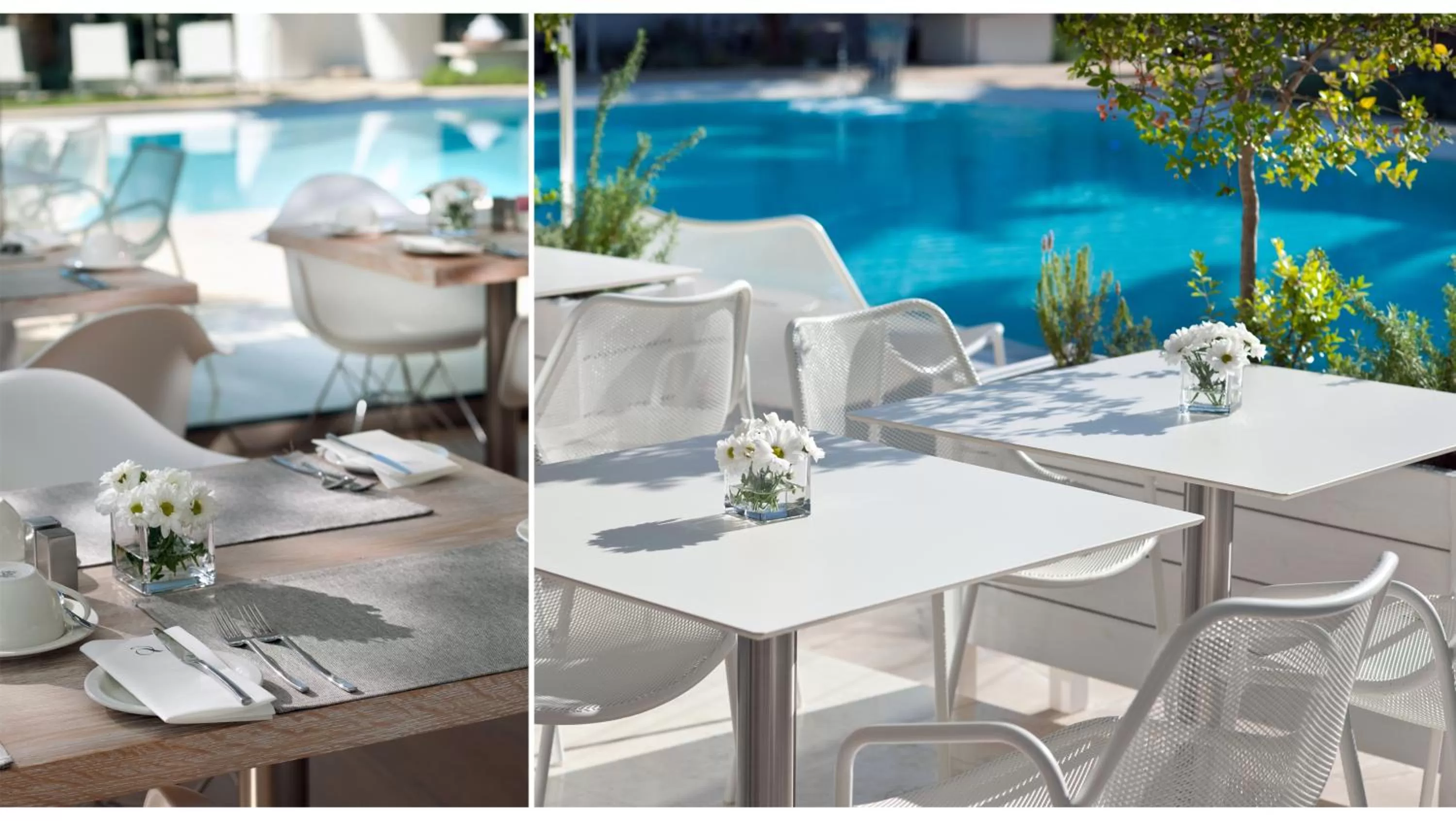 Garden in Alasia Boutique Hotel