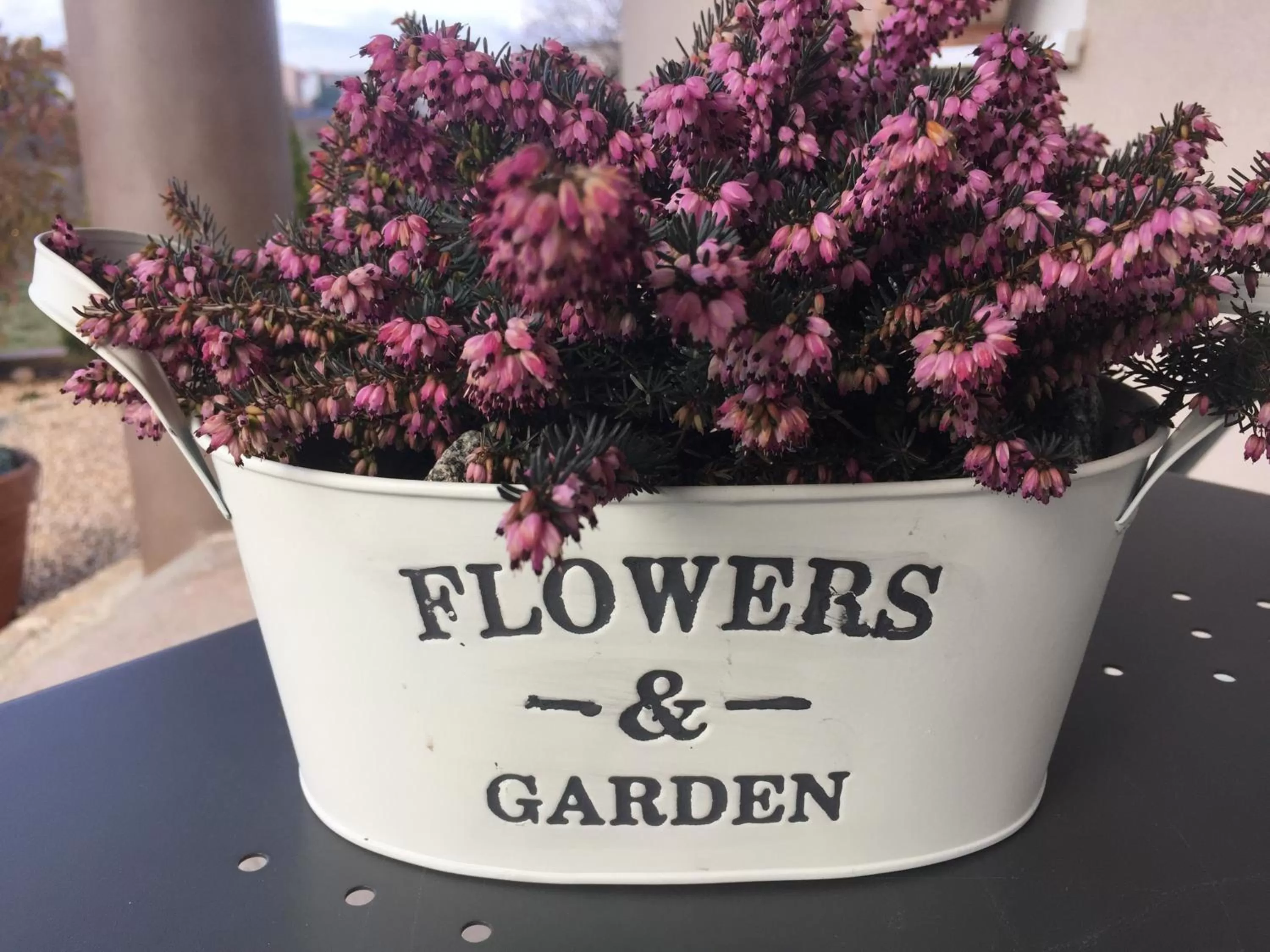 Logo/Certificate/Sign in Villa Flowers