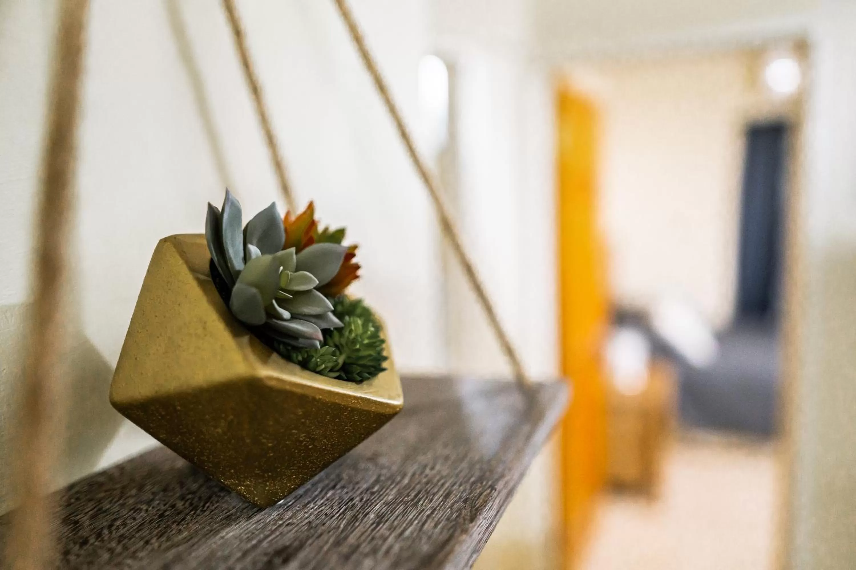 Decorative detail in Connie's Comfort Suites