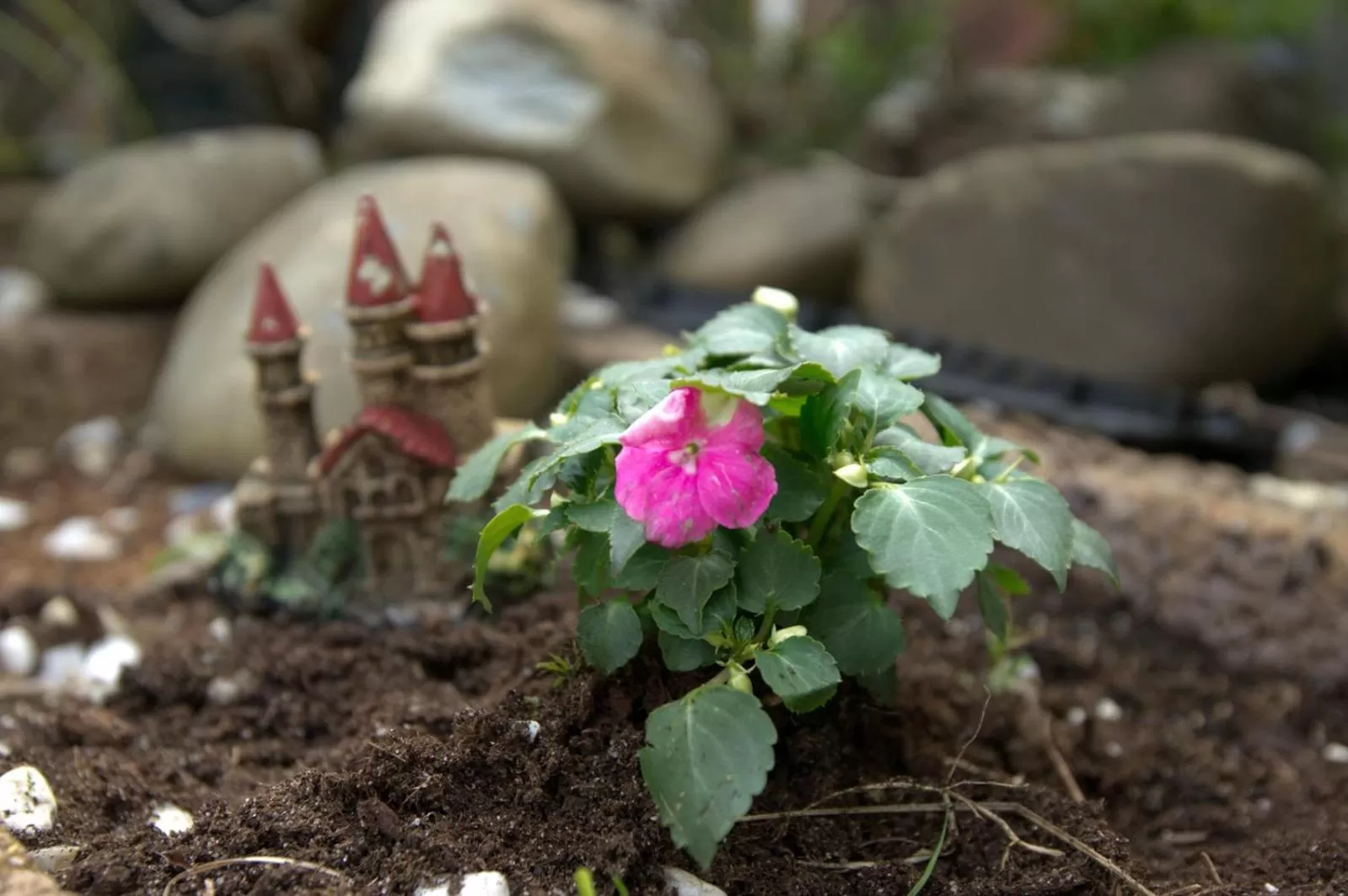 Other in B&B Posthoorn