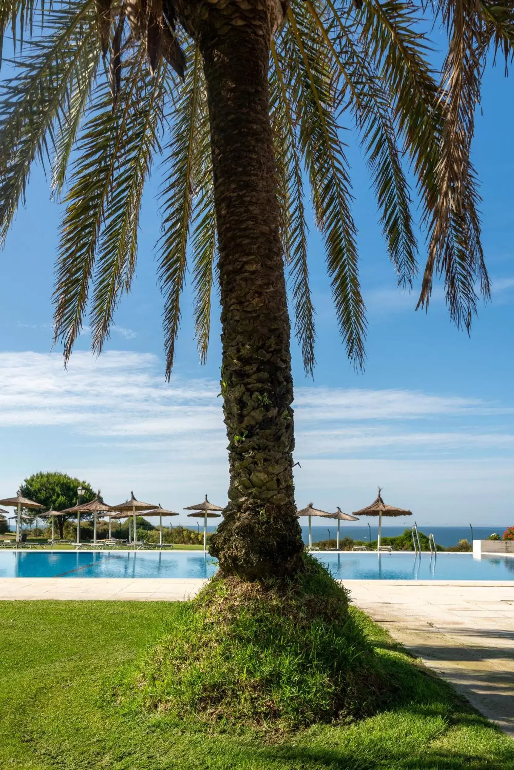 Swimming Pool in Parador de Mazagón