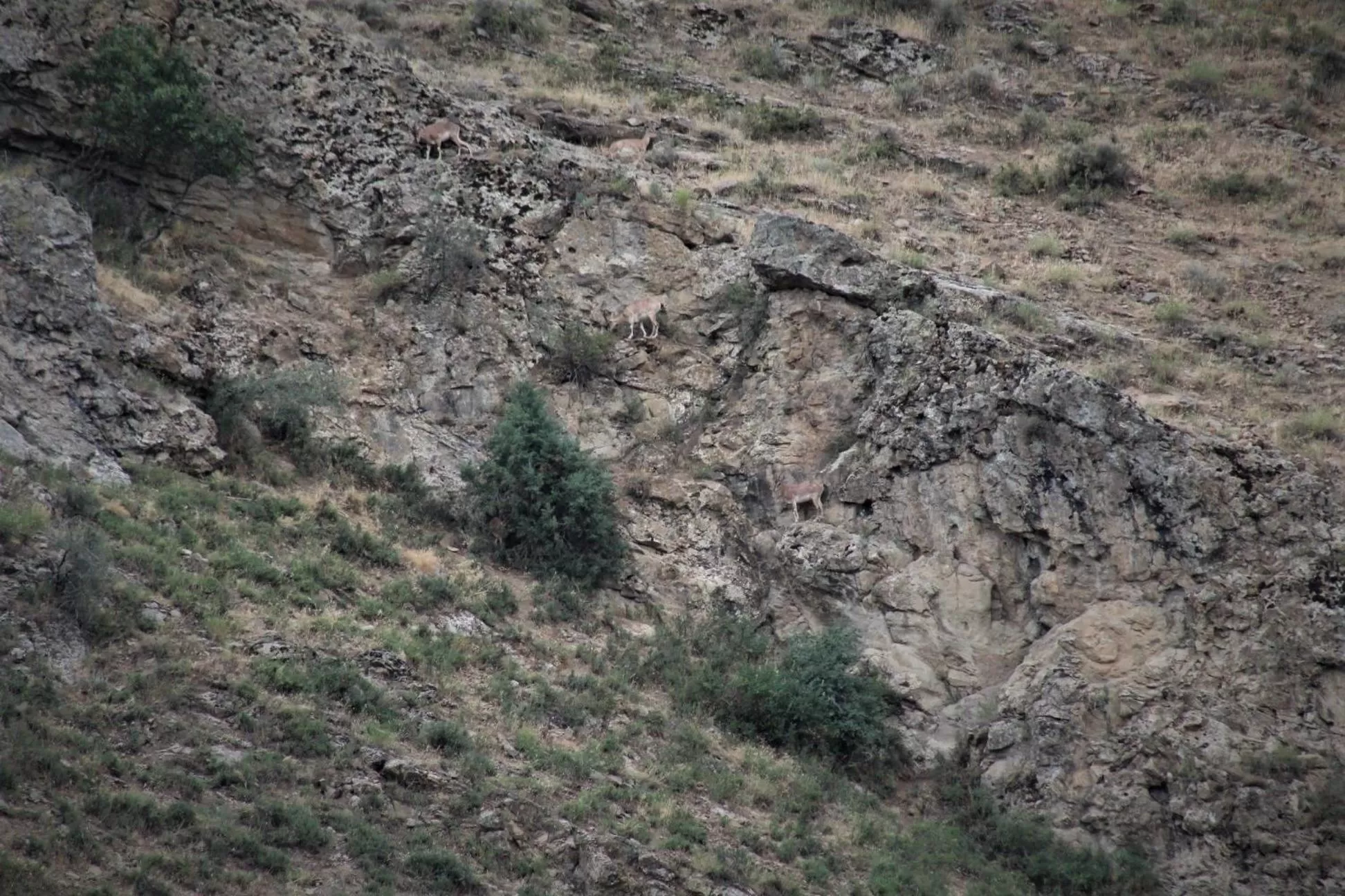 Ruzanna's Bed & Breakfast