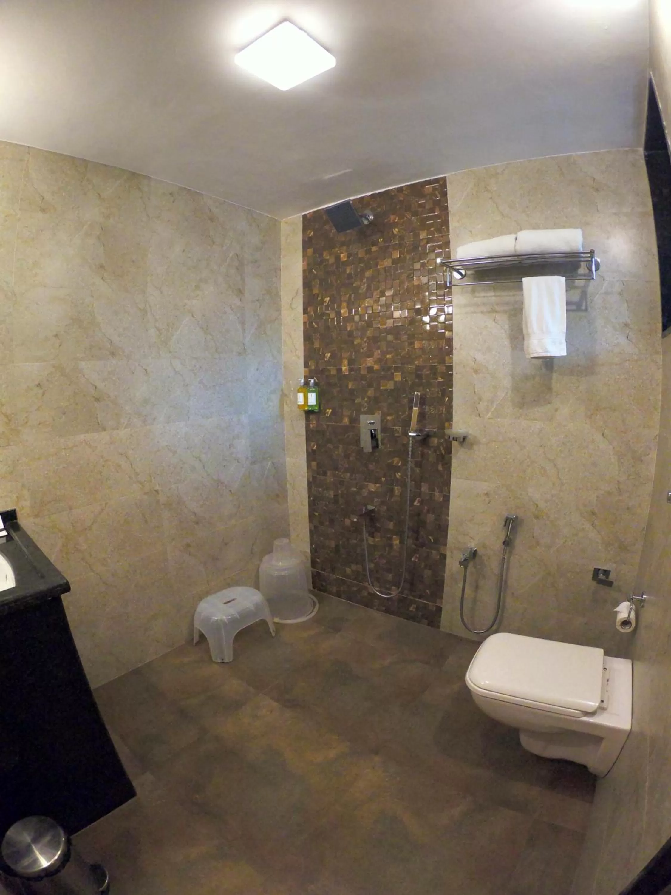 Bathroom in Jivanta Mahabaleshwar