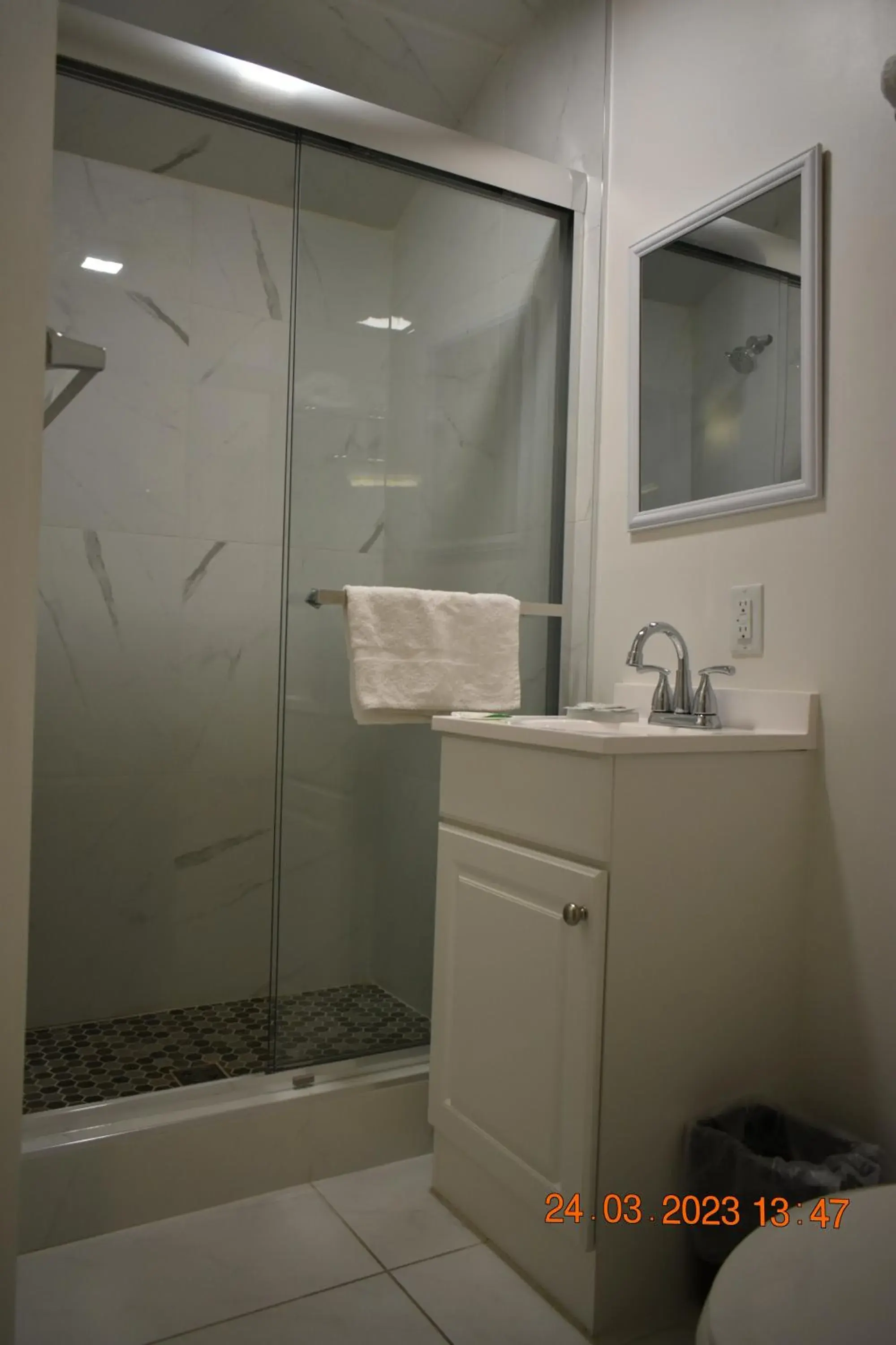 Shower, Bathroom in Time Travellers Motel