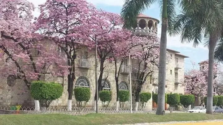 Natural landscape, Property Building in Hotel Riviera