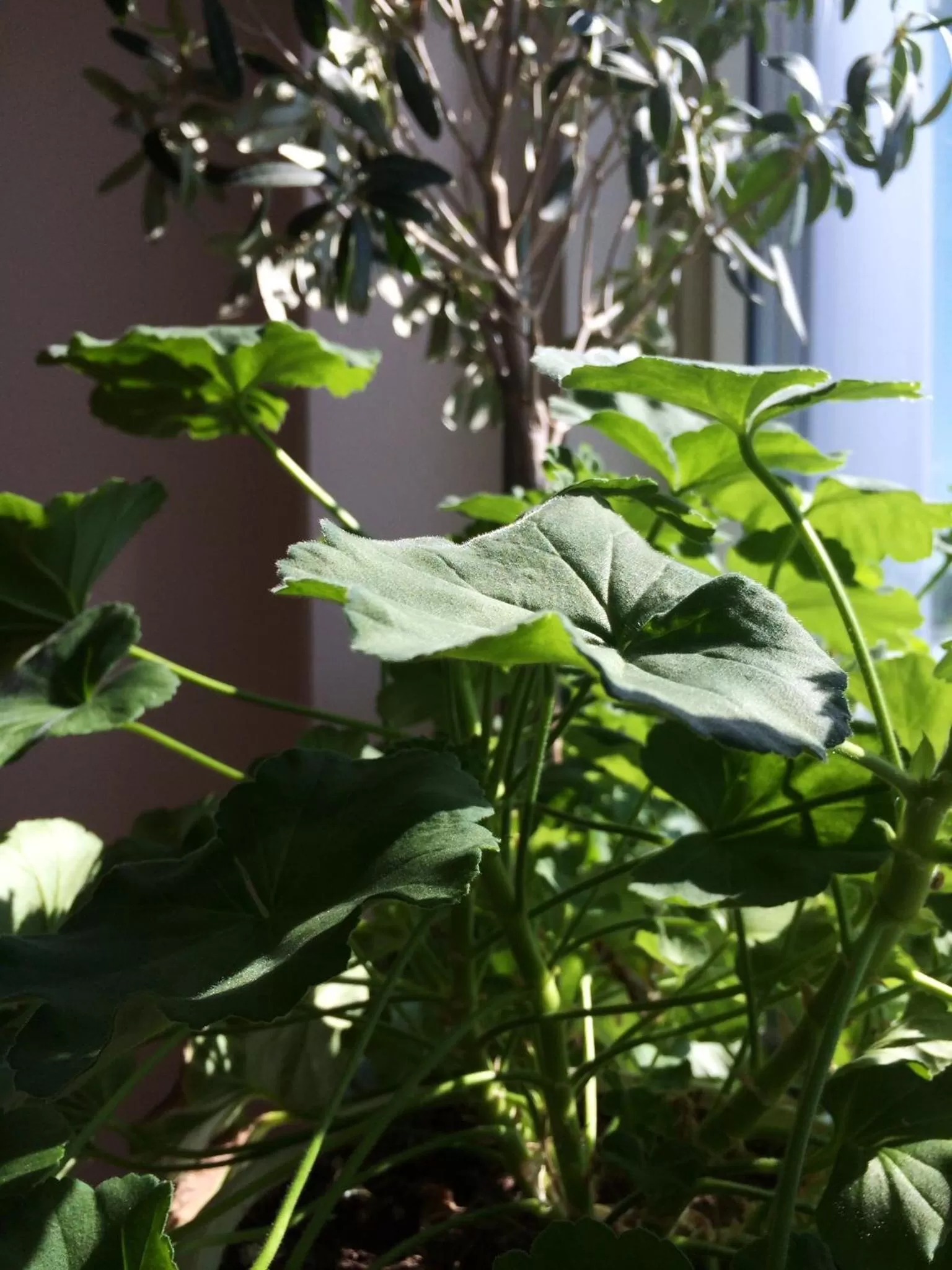 Other in Hotell Garvaren