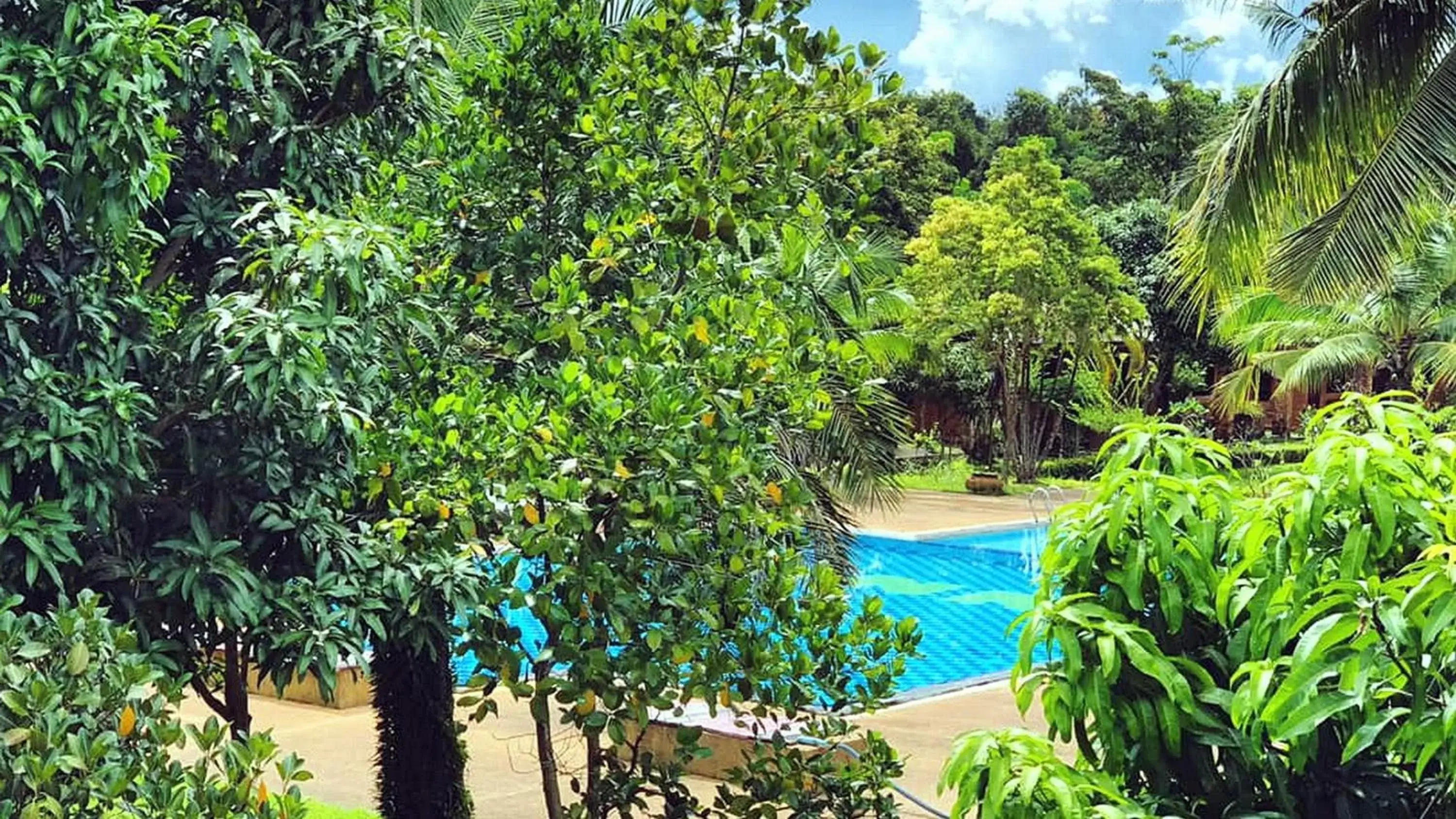 Pool view, Swimming Pool in Doo Dee Boutique Resort by Swiss Chalet