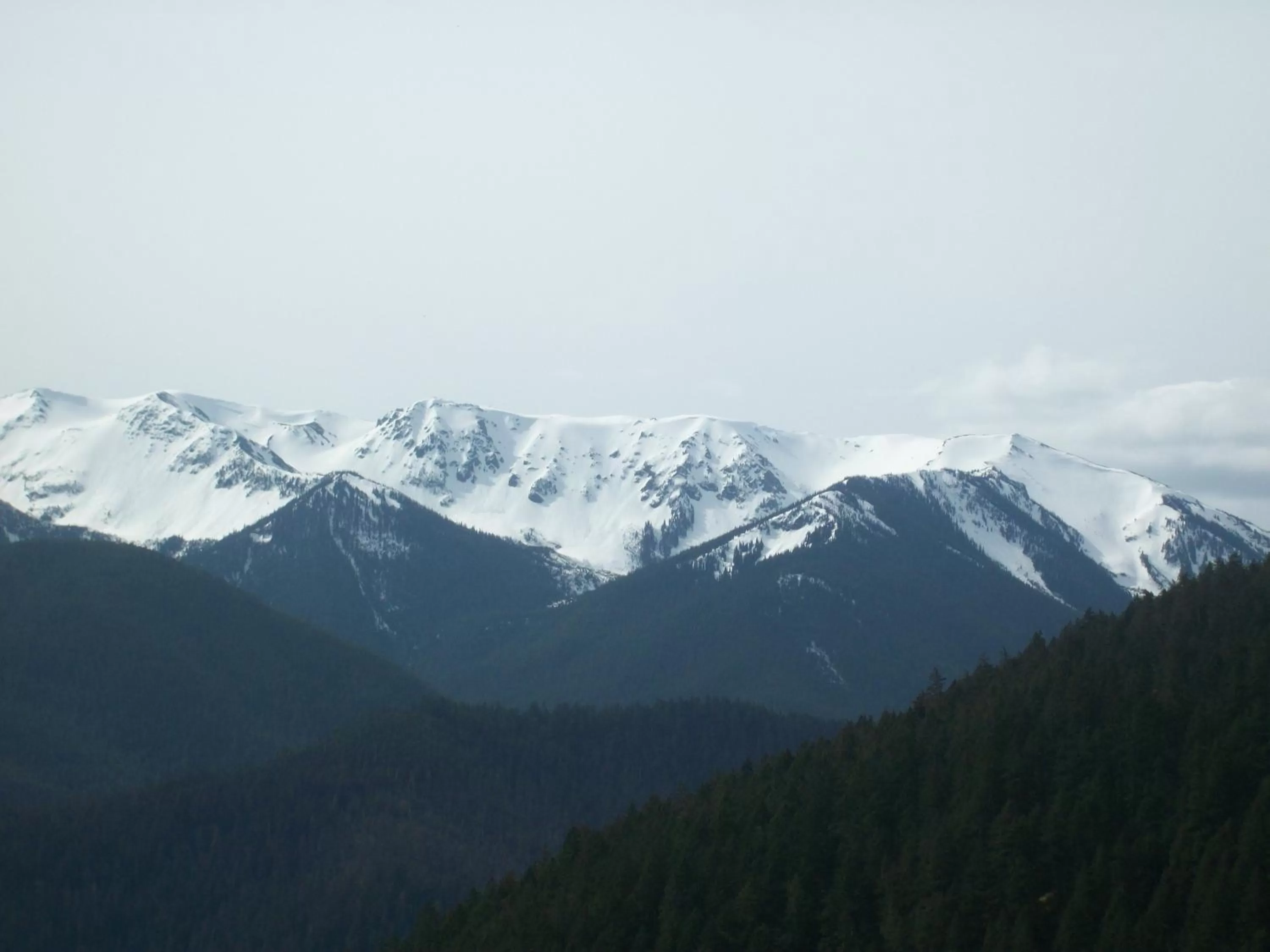 Nearby landmark in Holiday Inn Express Hotel & Suites North Sequim by IHG