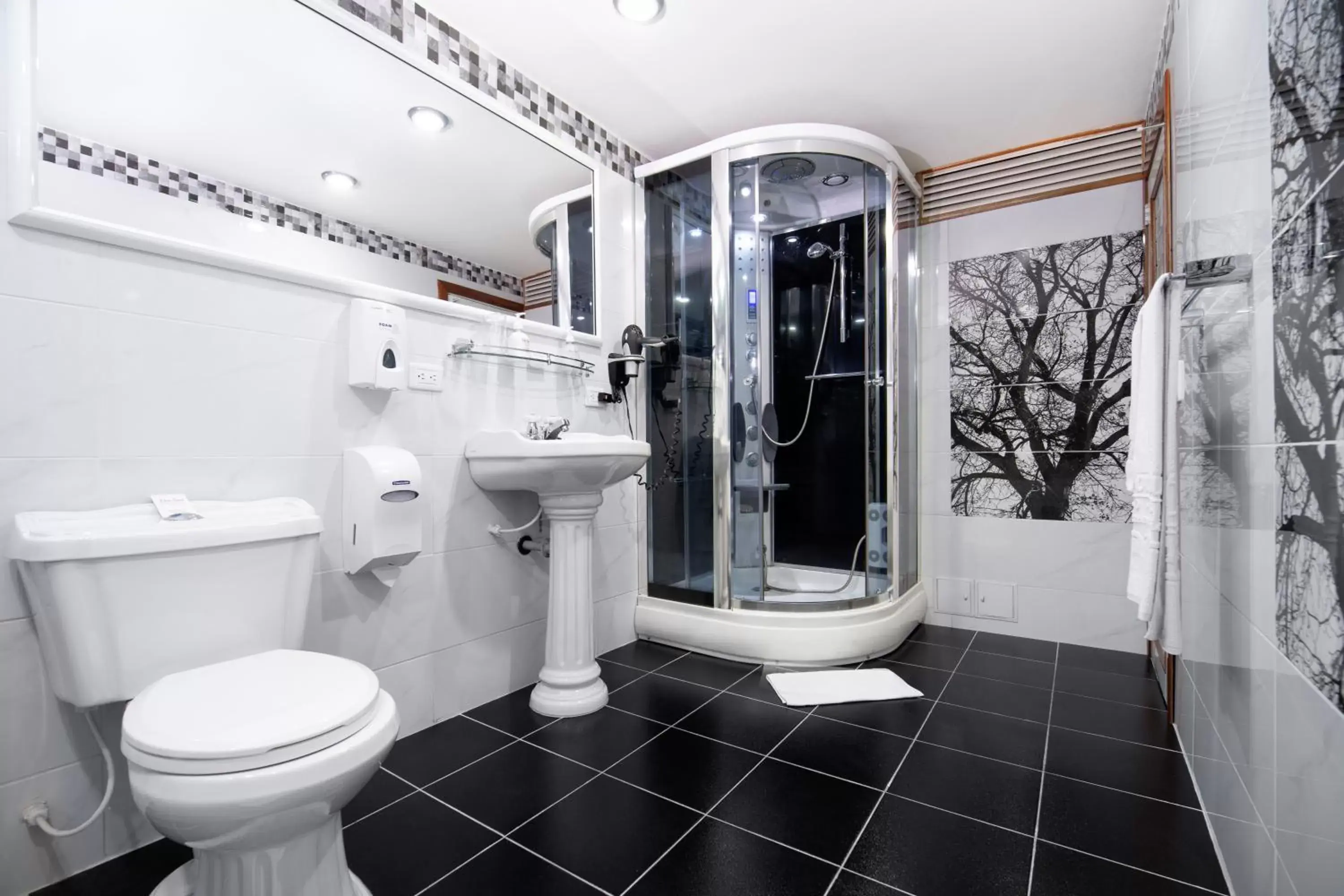 Shower, Bathroom in Hotel Don Saul