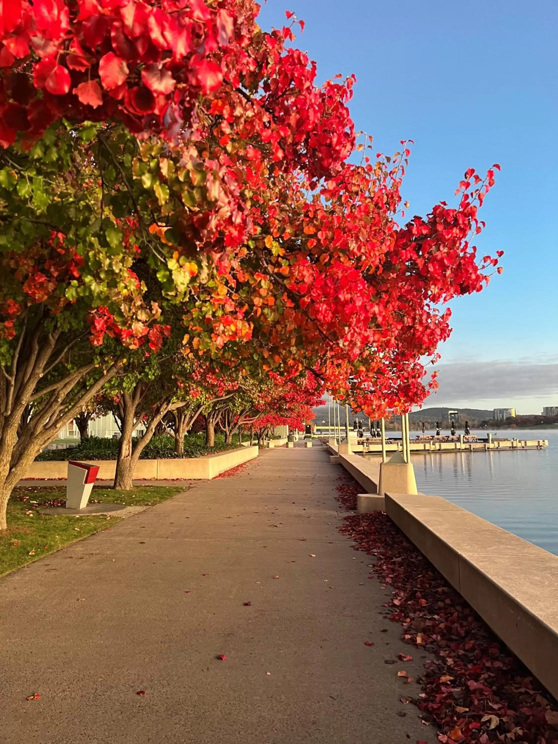 Natural landscape in Forrest Hotel & Apartments
