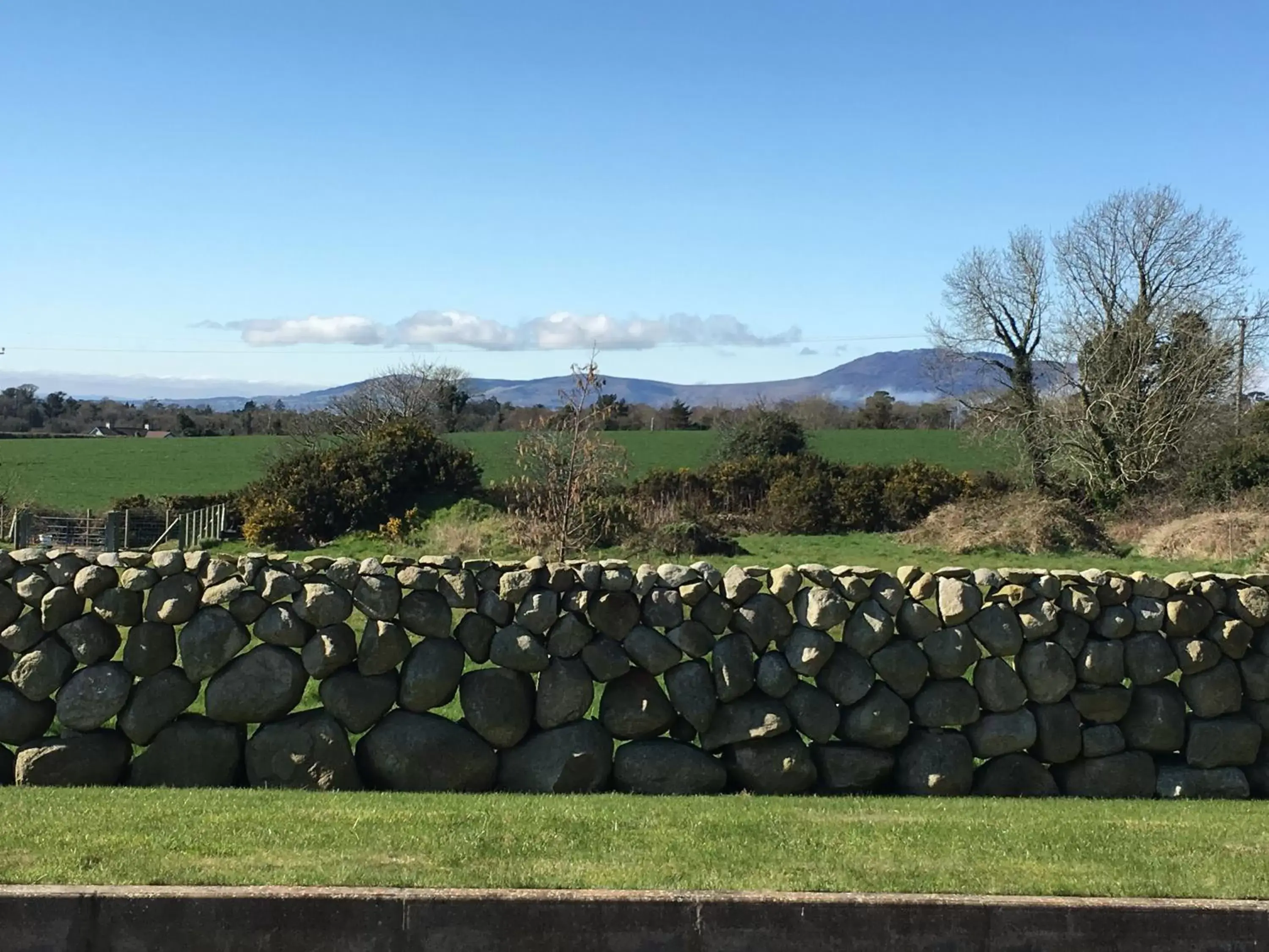 View (from property/room) in Mourne Country House Bed and Breakfast