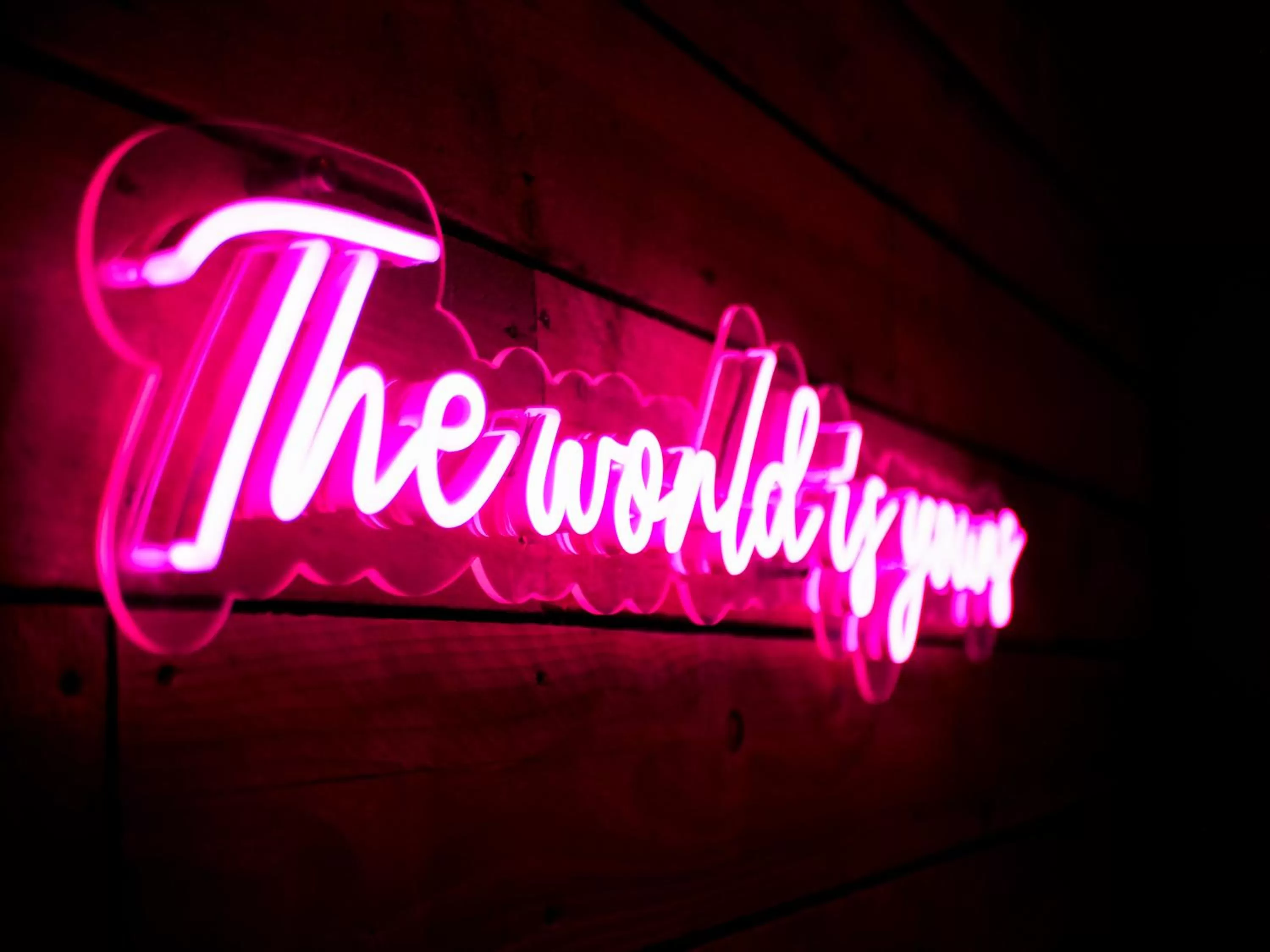 Property logo or sign in The Lazy Pug