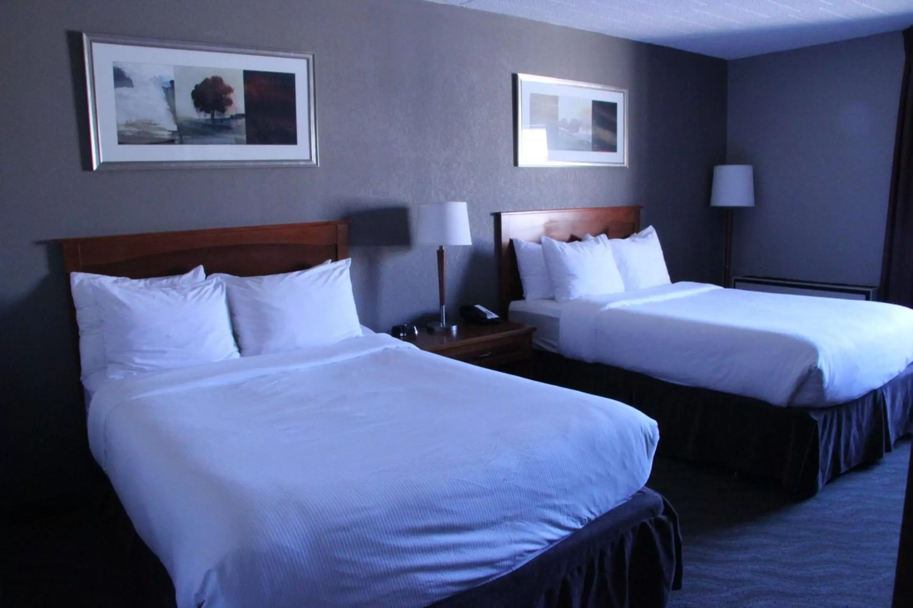 Photo of the whole room, Bed in Best Western North Bay Hotel & Conference Centre