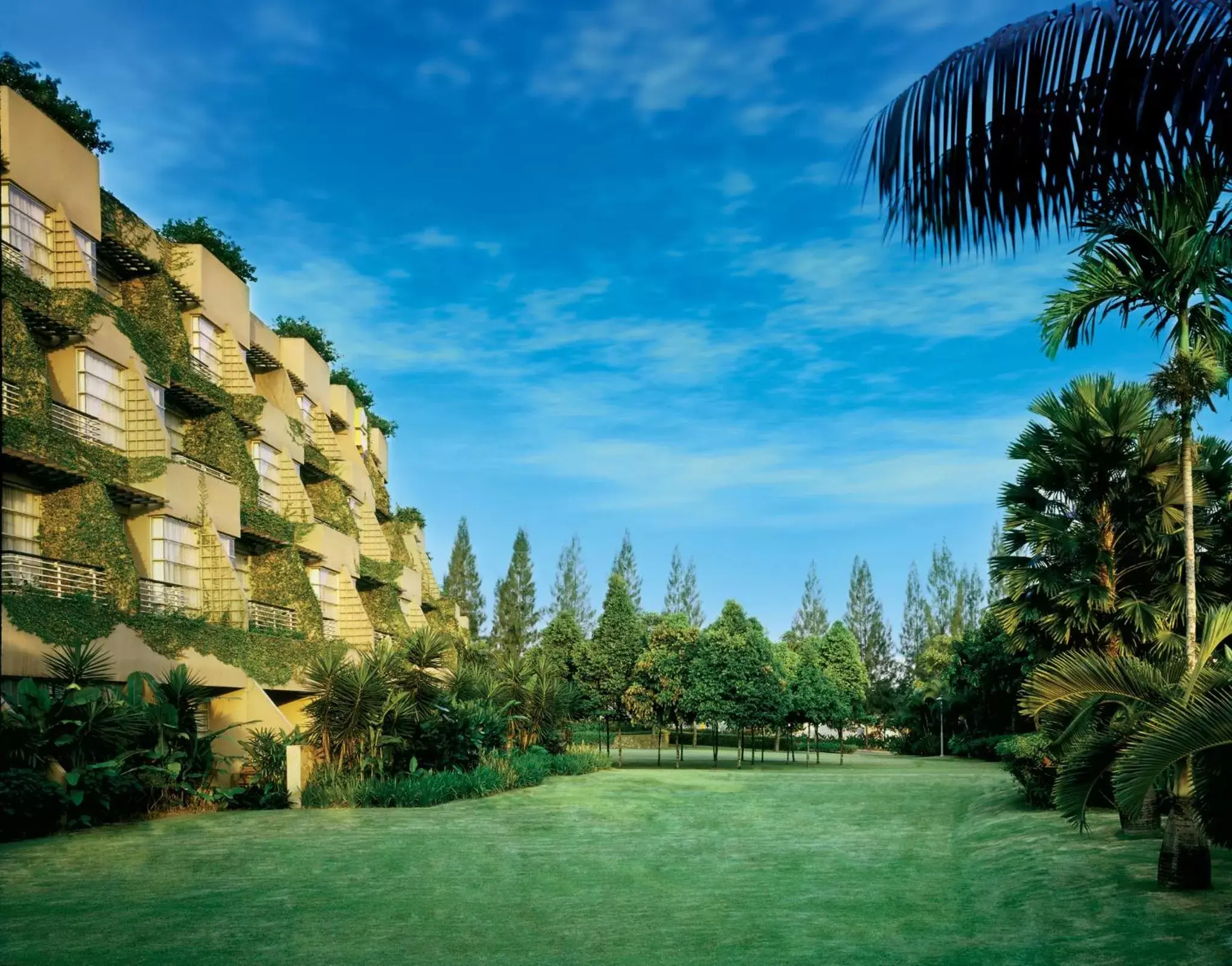 Natural landscape in PULSE GRANDE Hotel Putrajaya