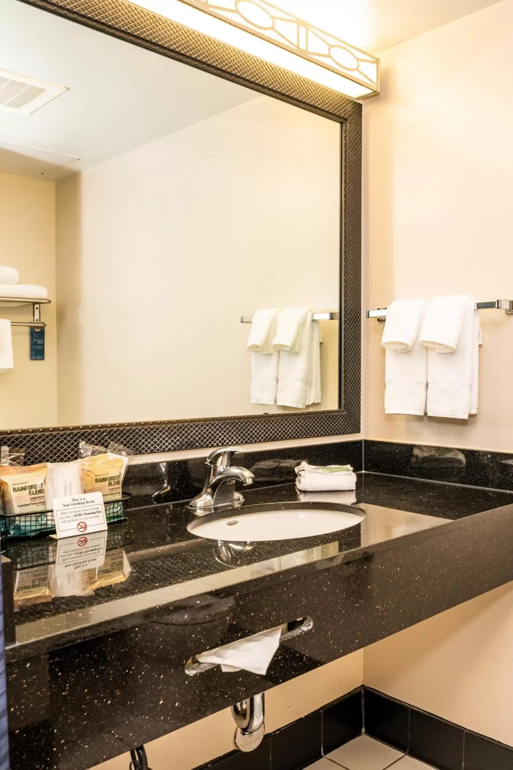 Bathroom in Fairfield Inn & Suites by Marriott San Antonio Downtown/Alamo Plaza