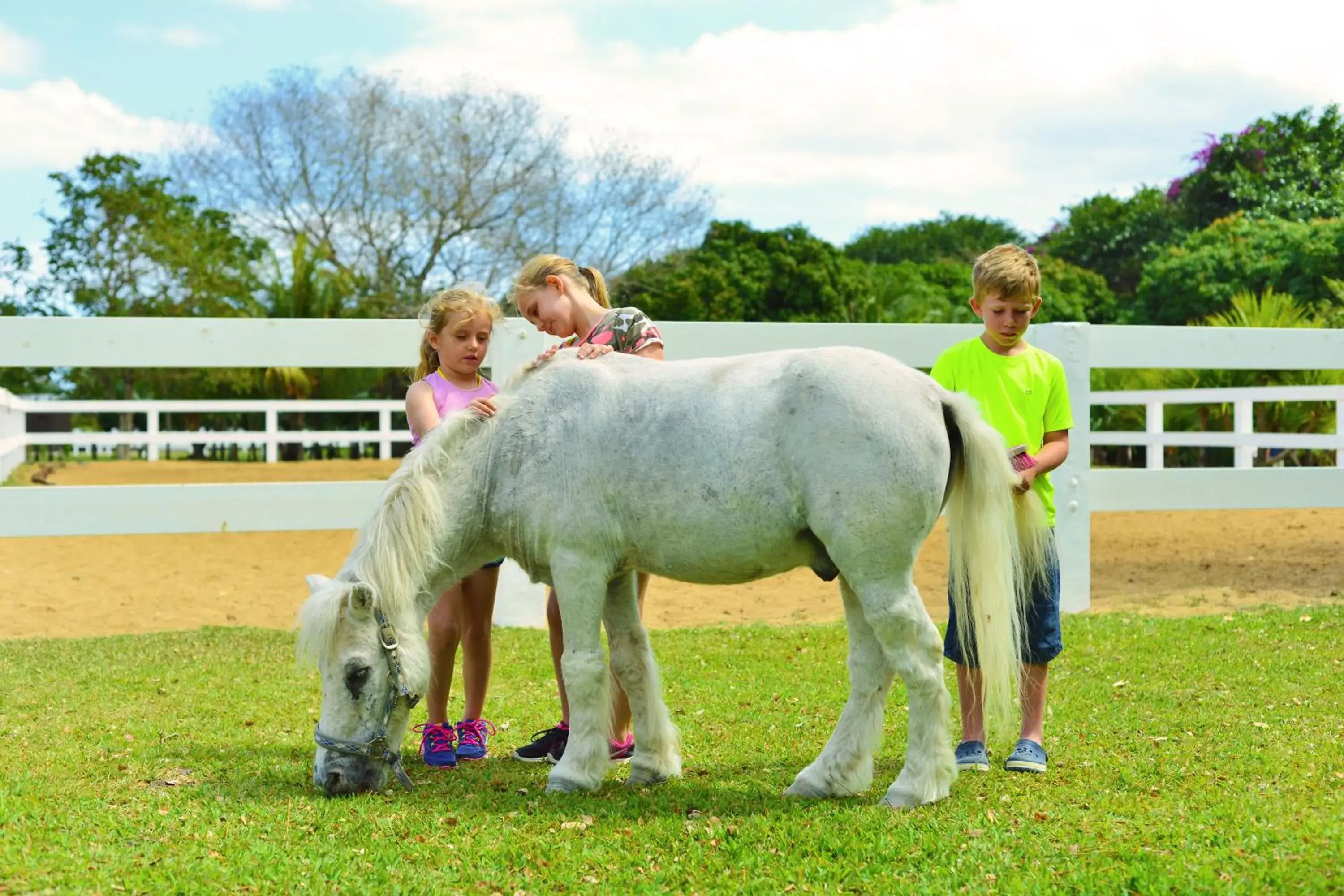 Horse-riding, Other Animals in Maritim Resort & Spa Mauritius