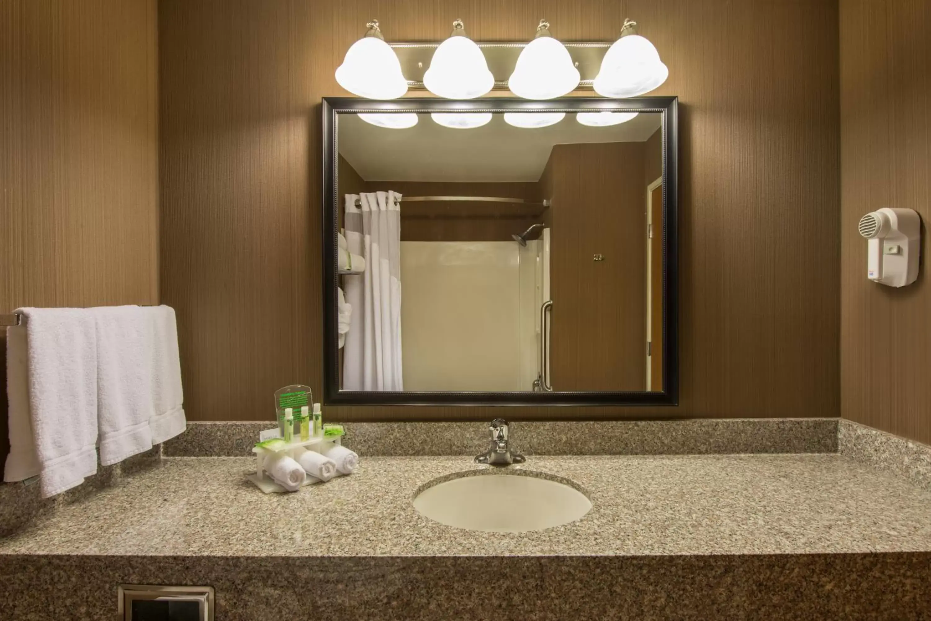 Bathroom in Holiday Inn Express & Suites Douglas, an IHG Hotel