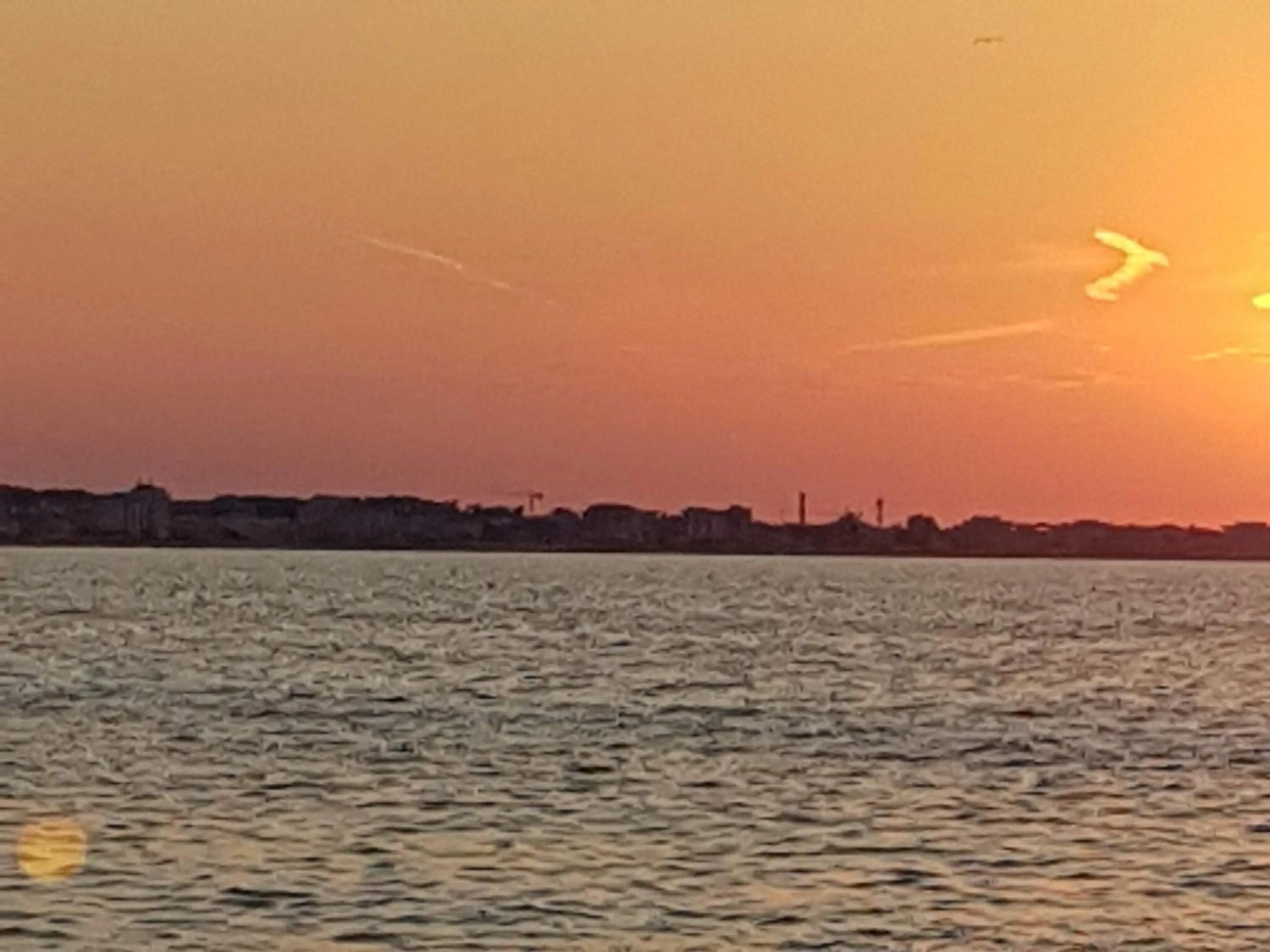 Natural landscape in Hotel Savina