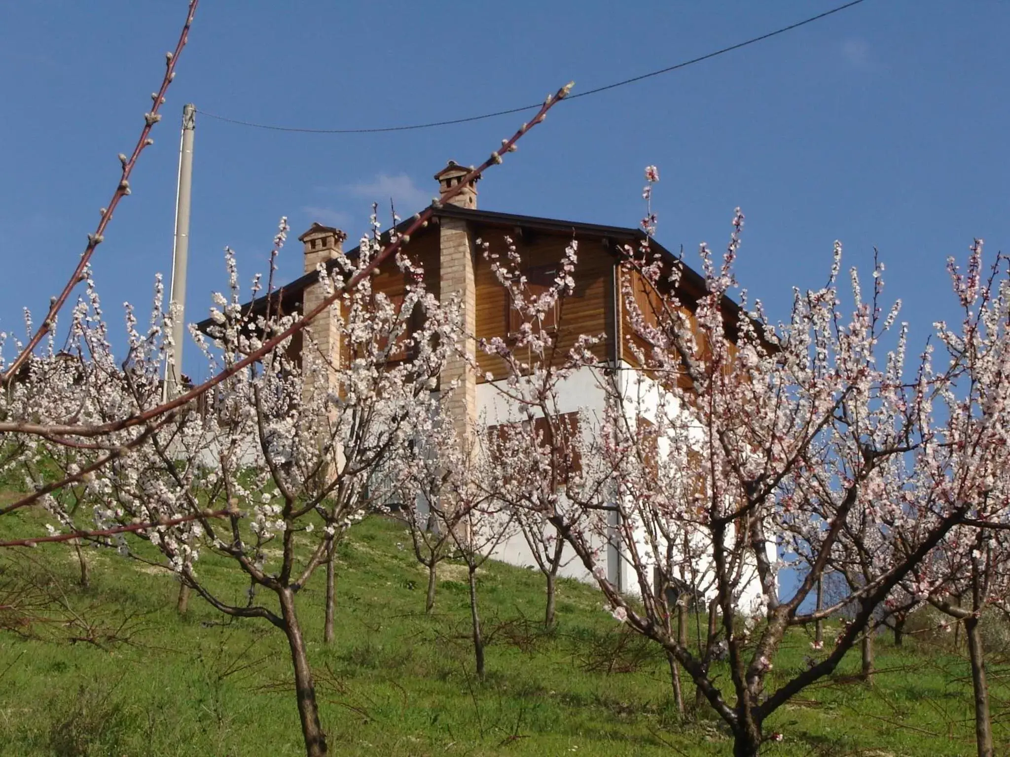 Property Building in Casa dell' Abbondanza B&B Agriturismo