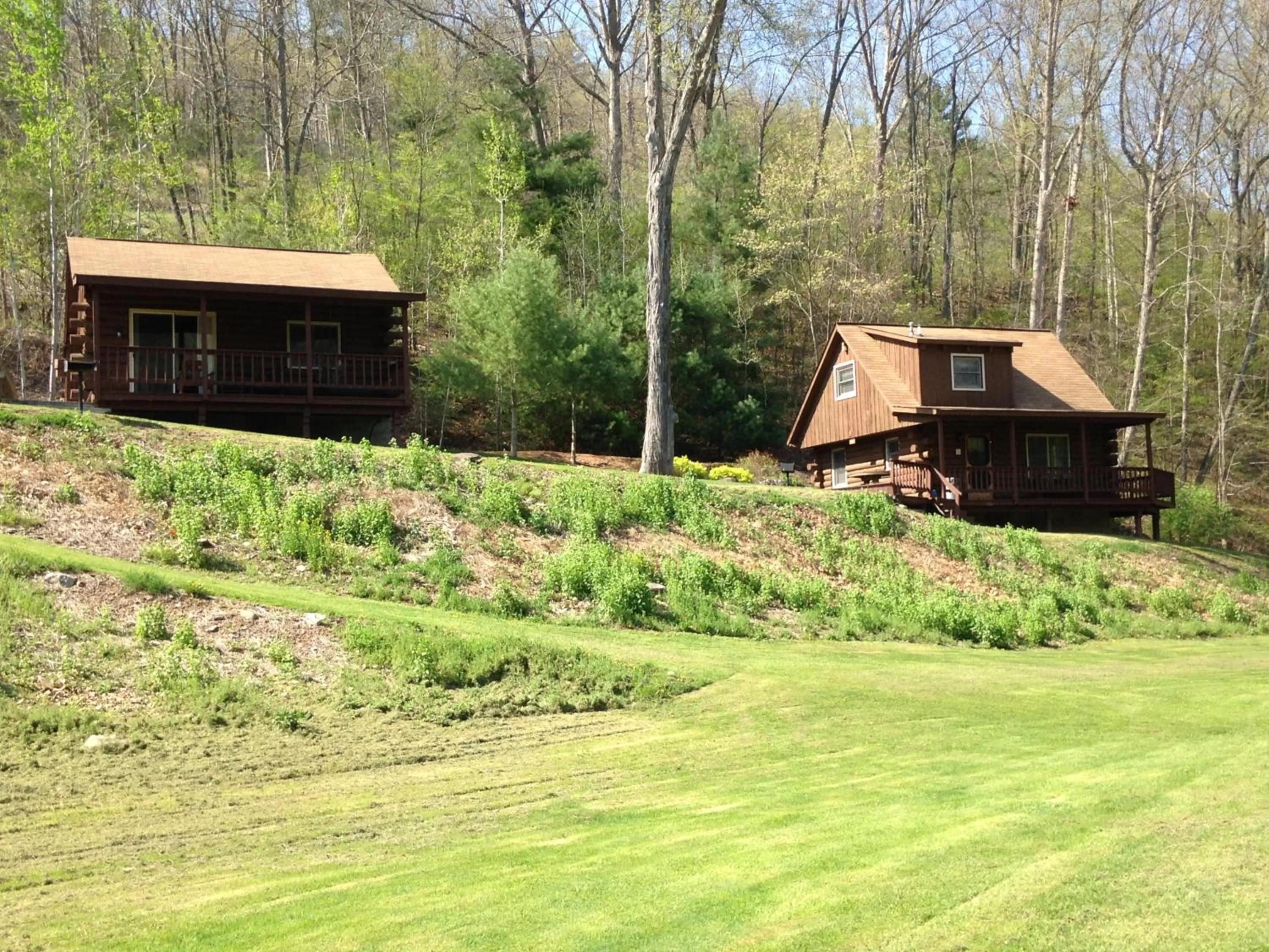 Property building in Rough Cut Lodge