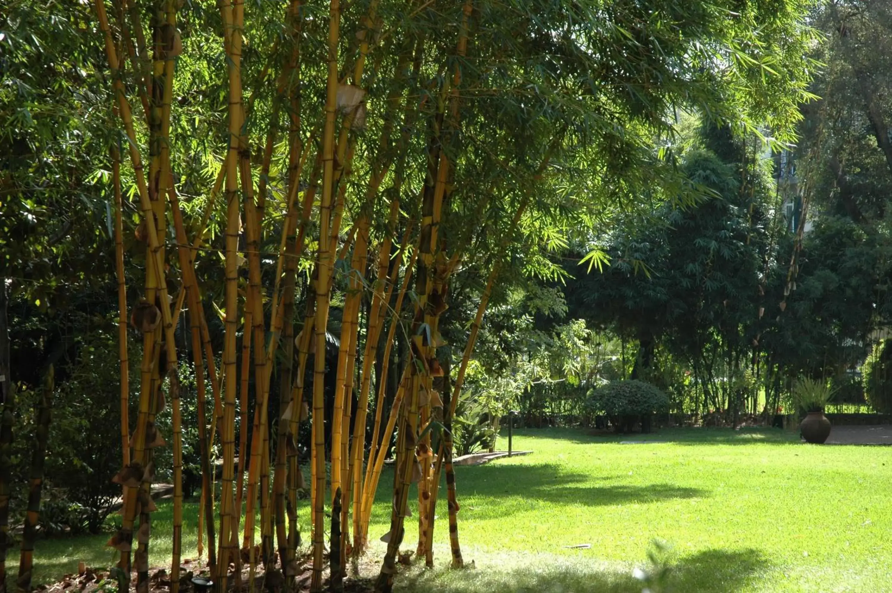 Garden in Quinta da Bela Vista