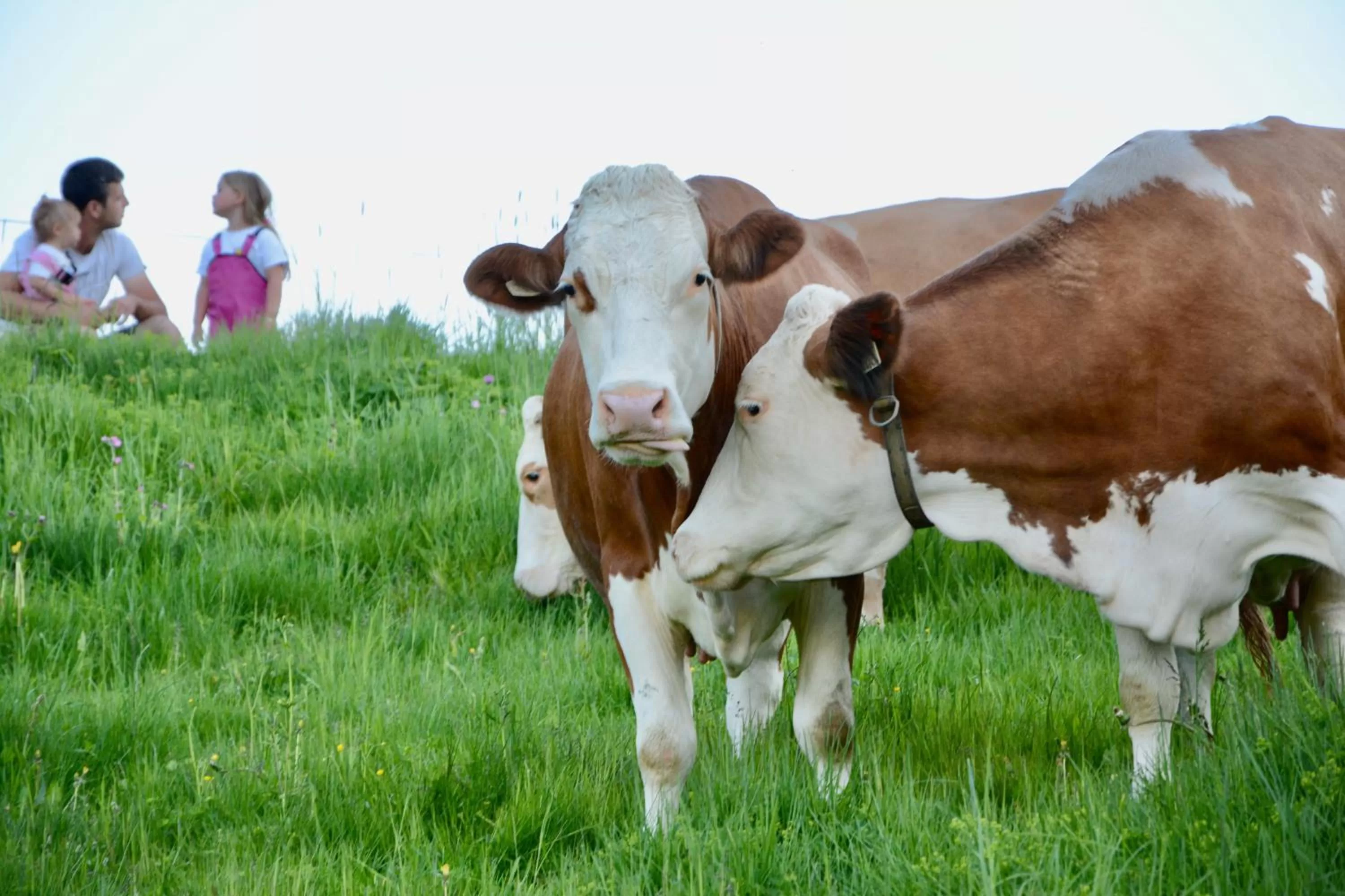 Staff in Boutiquehotel die Alpbacherin 4 Sterne Superior