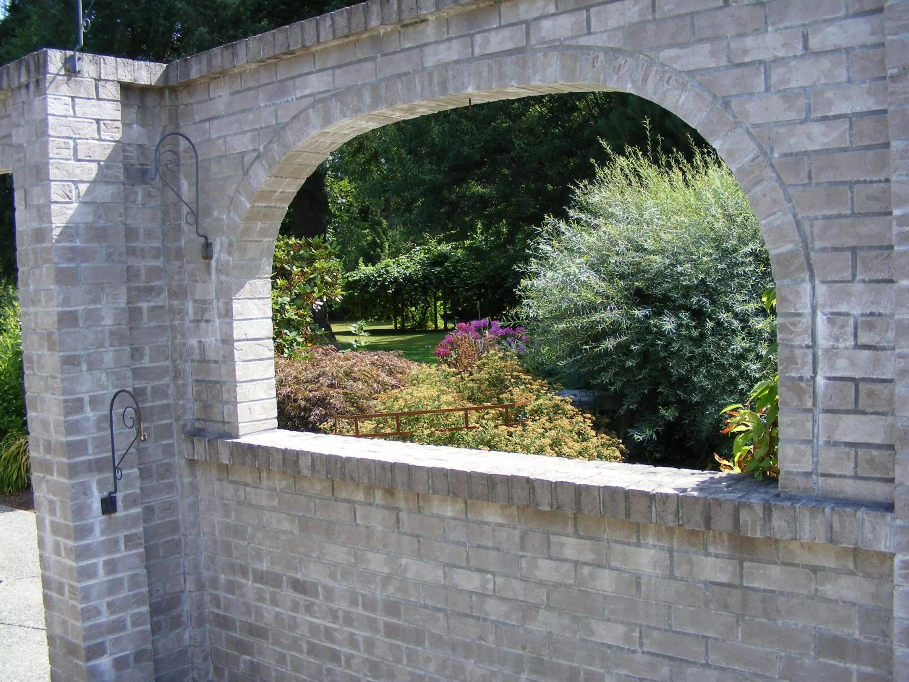 Garden in Hummingbird Guesthouse