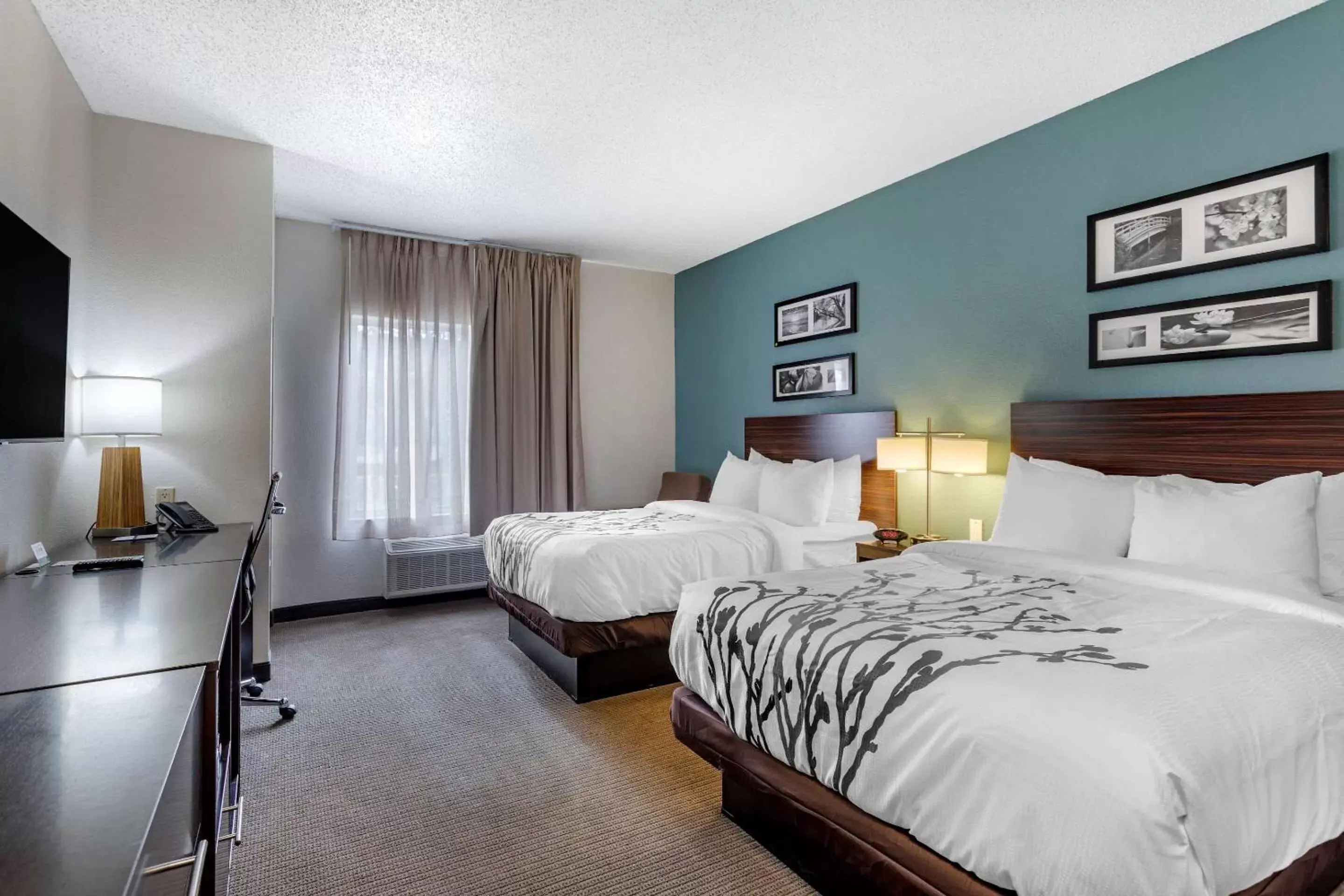 Photo of the whole room, Bed in Sleep Inn & Suites Lebanon - Nashville Area